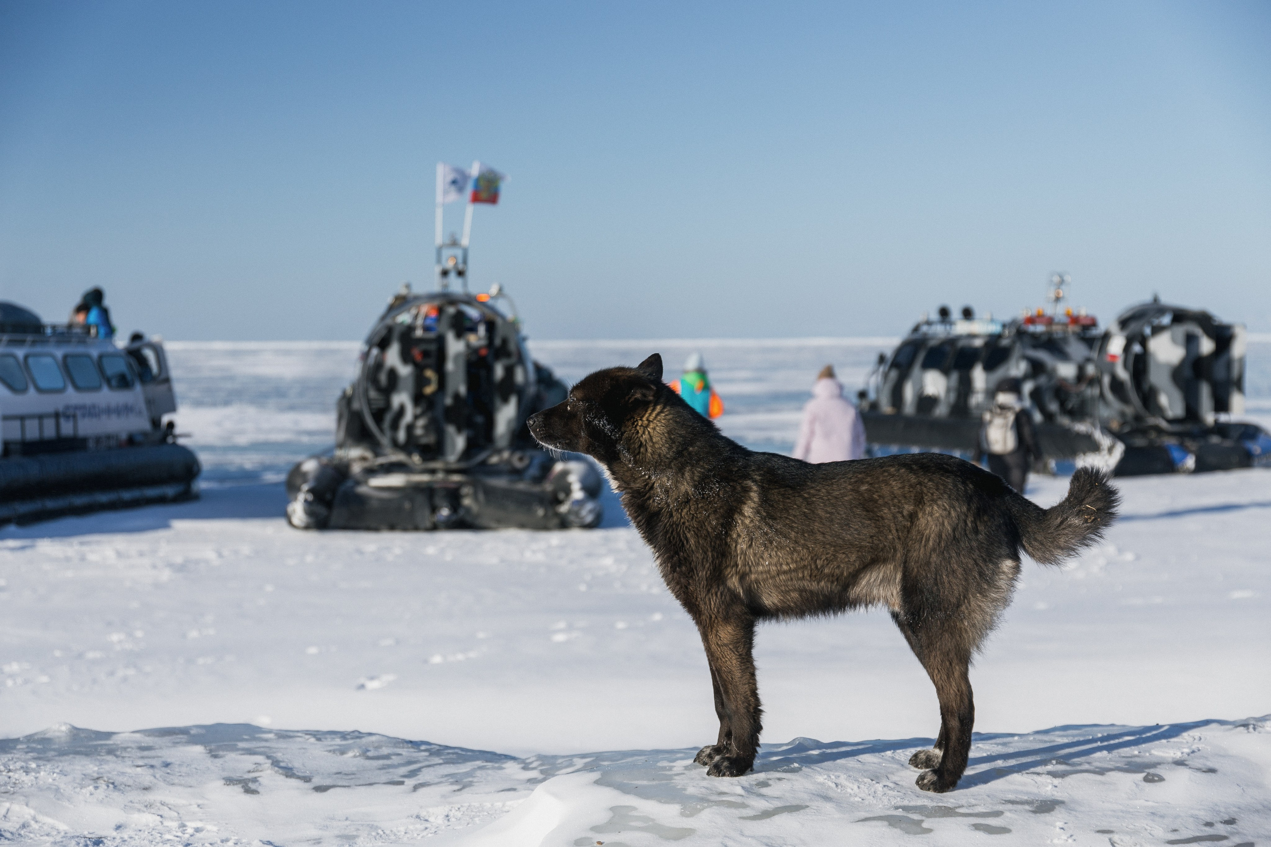 Байкал. Олег Левин — профессиональный концертный и бэкстейдж фотограф в Москве
