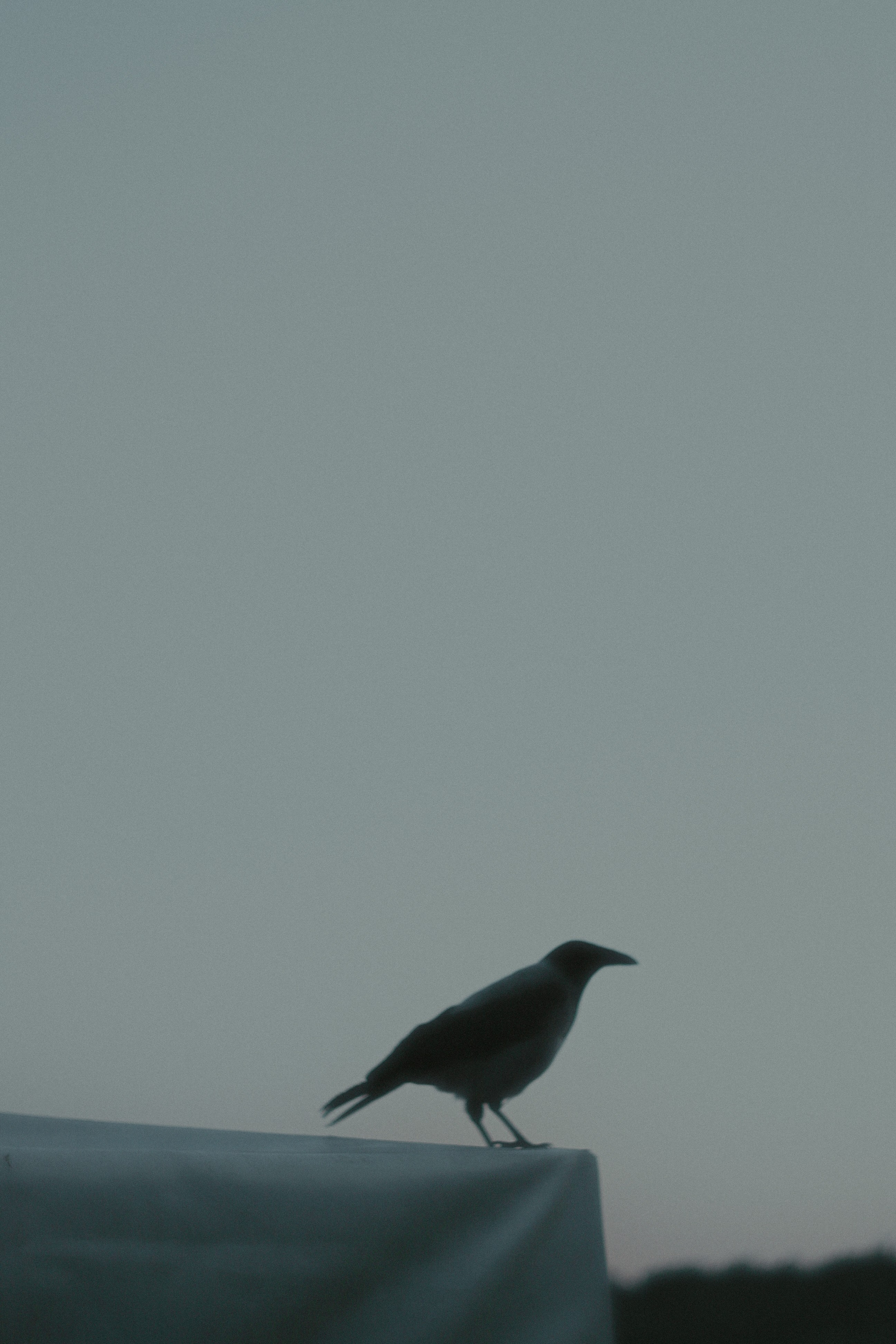 Егор. Портретный и художественный фотограф в Москве