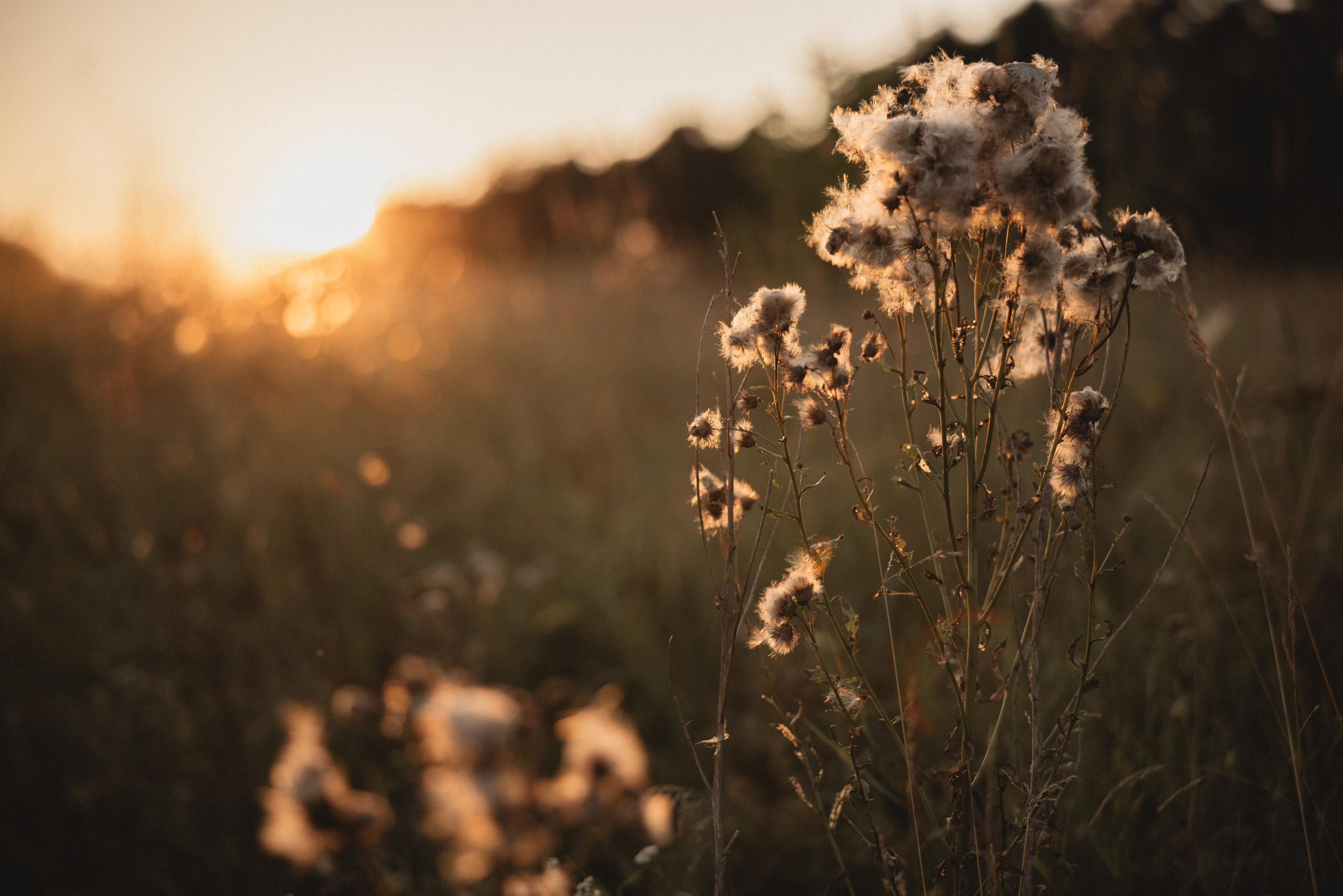 Семейная съёмка в Рыбынске