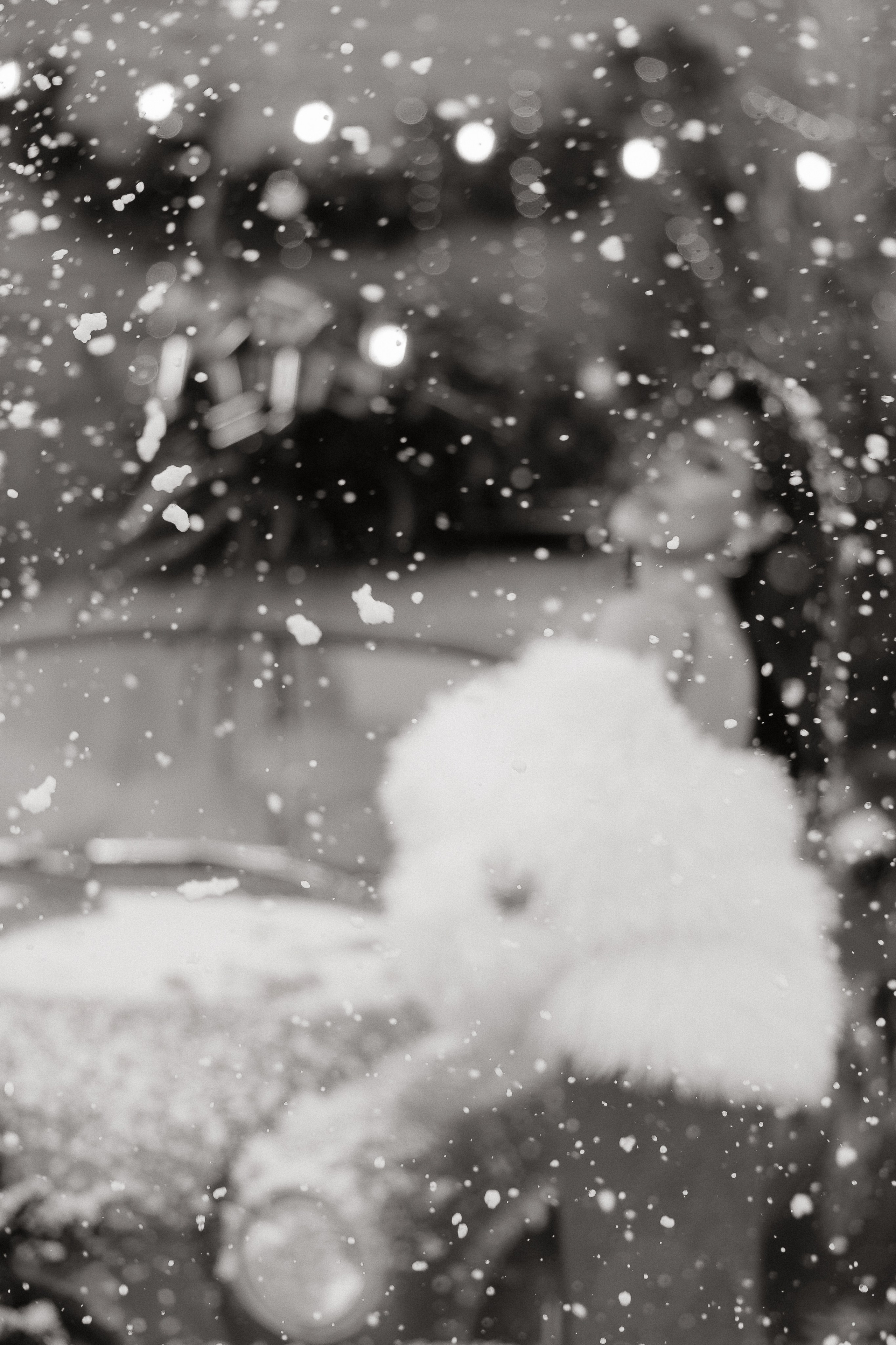 Люси. Свадебный | Семейный фотограф