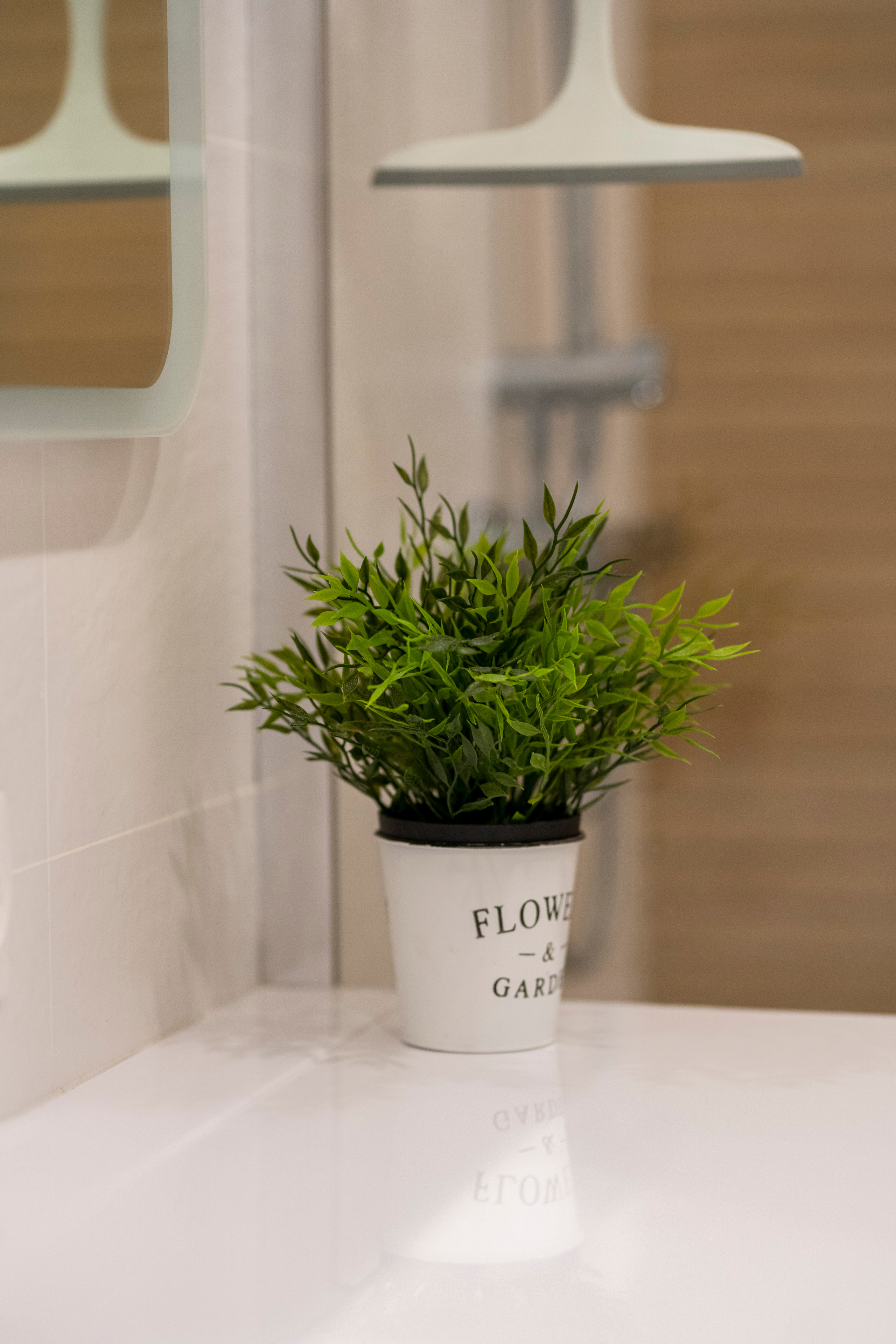 Уютные апартаменты у моря. Апартаменты на берегу Балтийского моря в Светлогорске и Зеленоградске