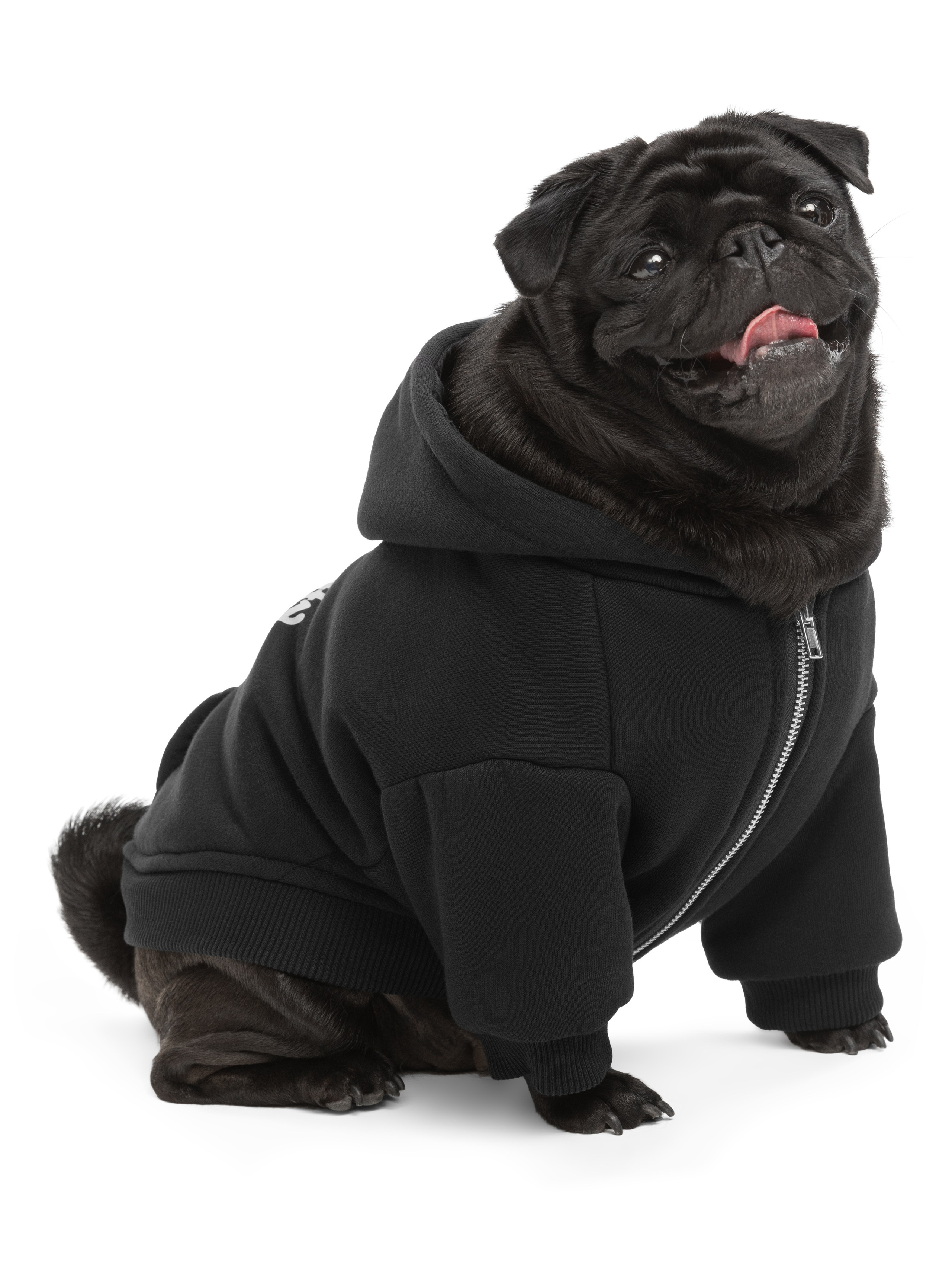 Одежда для собак Pet Subject. Олег Дмитриев