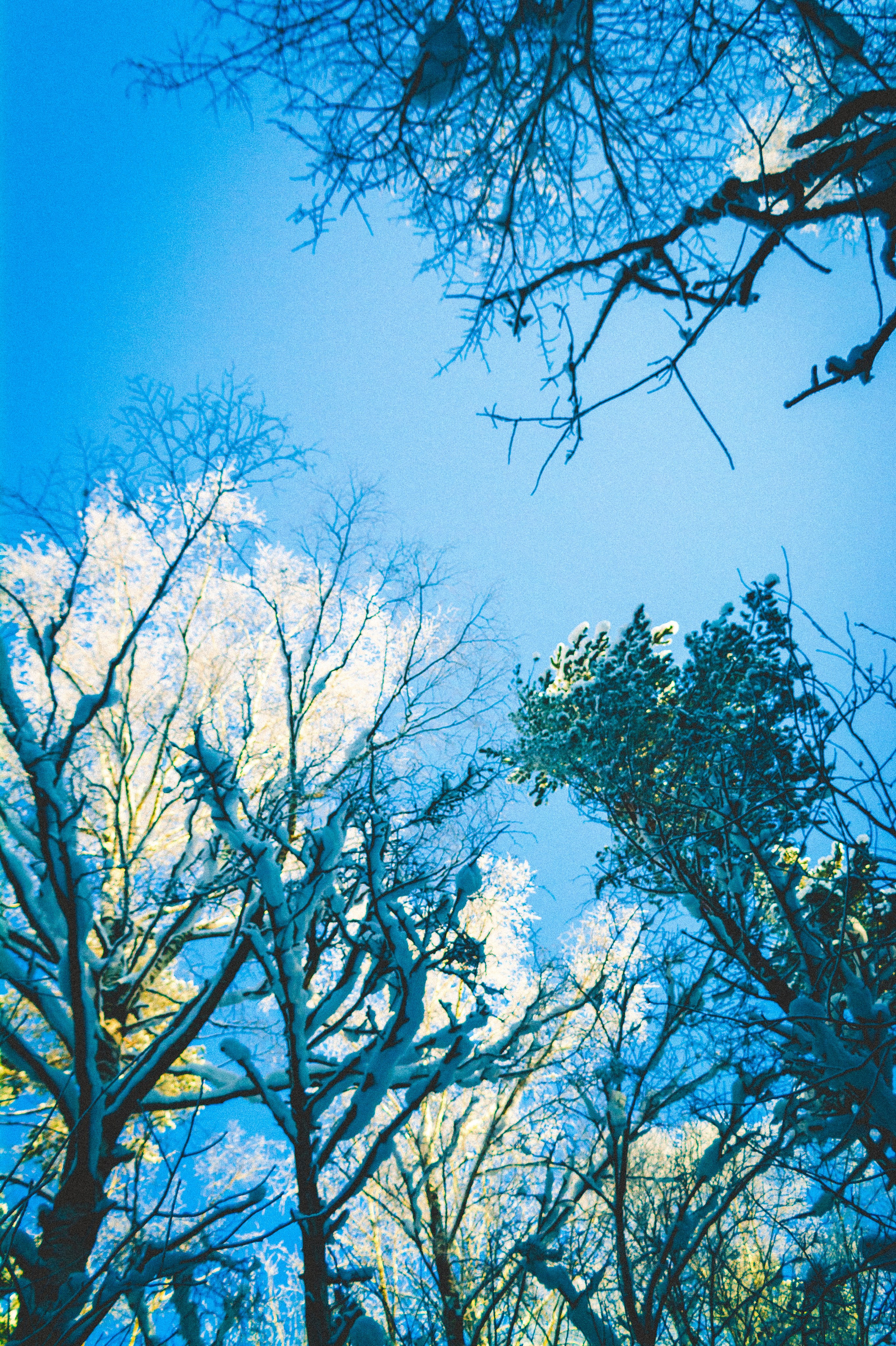 Тропа здоровья. Den Mirov — Фотограф, Музыкант