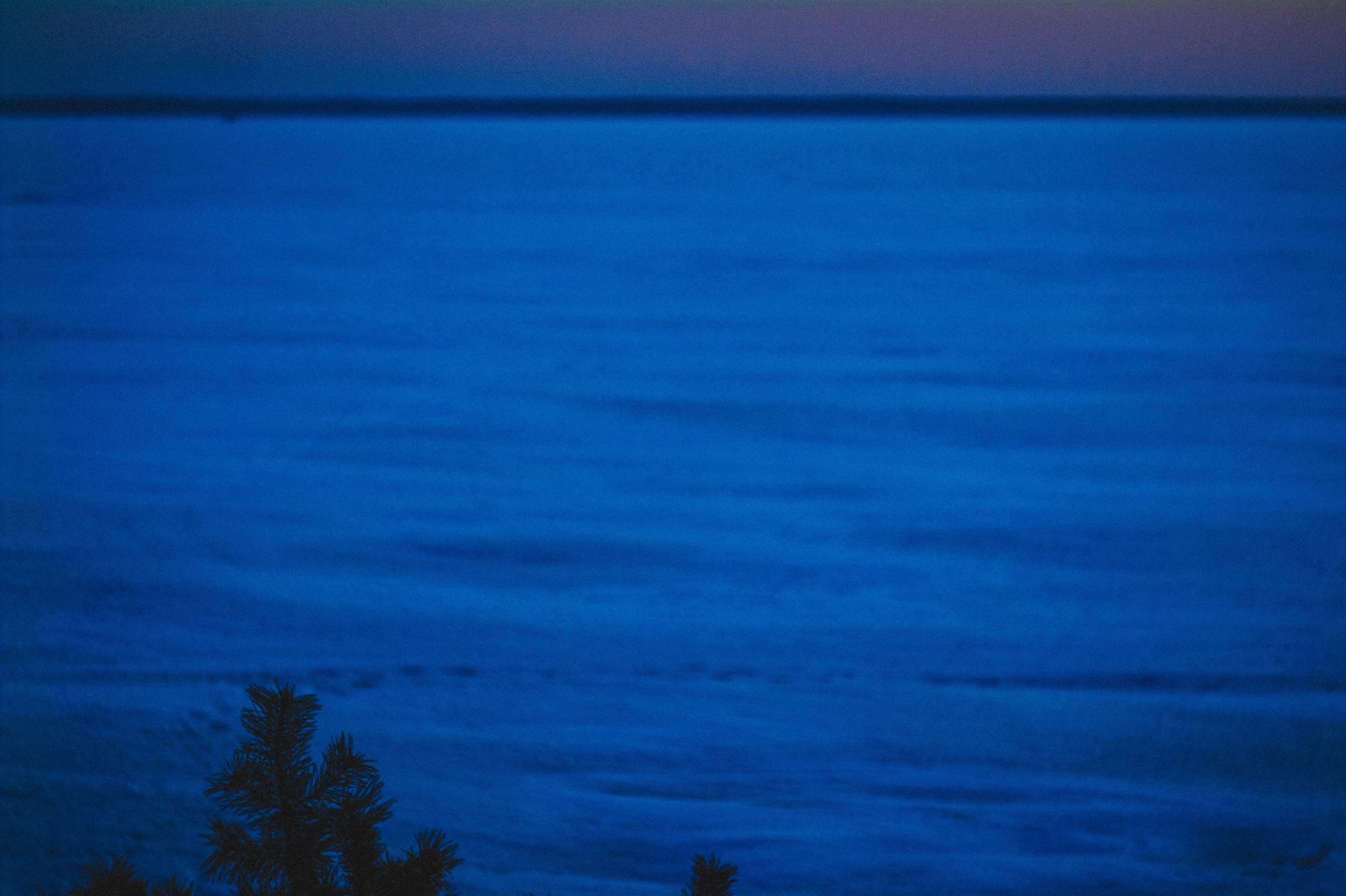 Narcissist. Den Mirov — Photographer, Musician