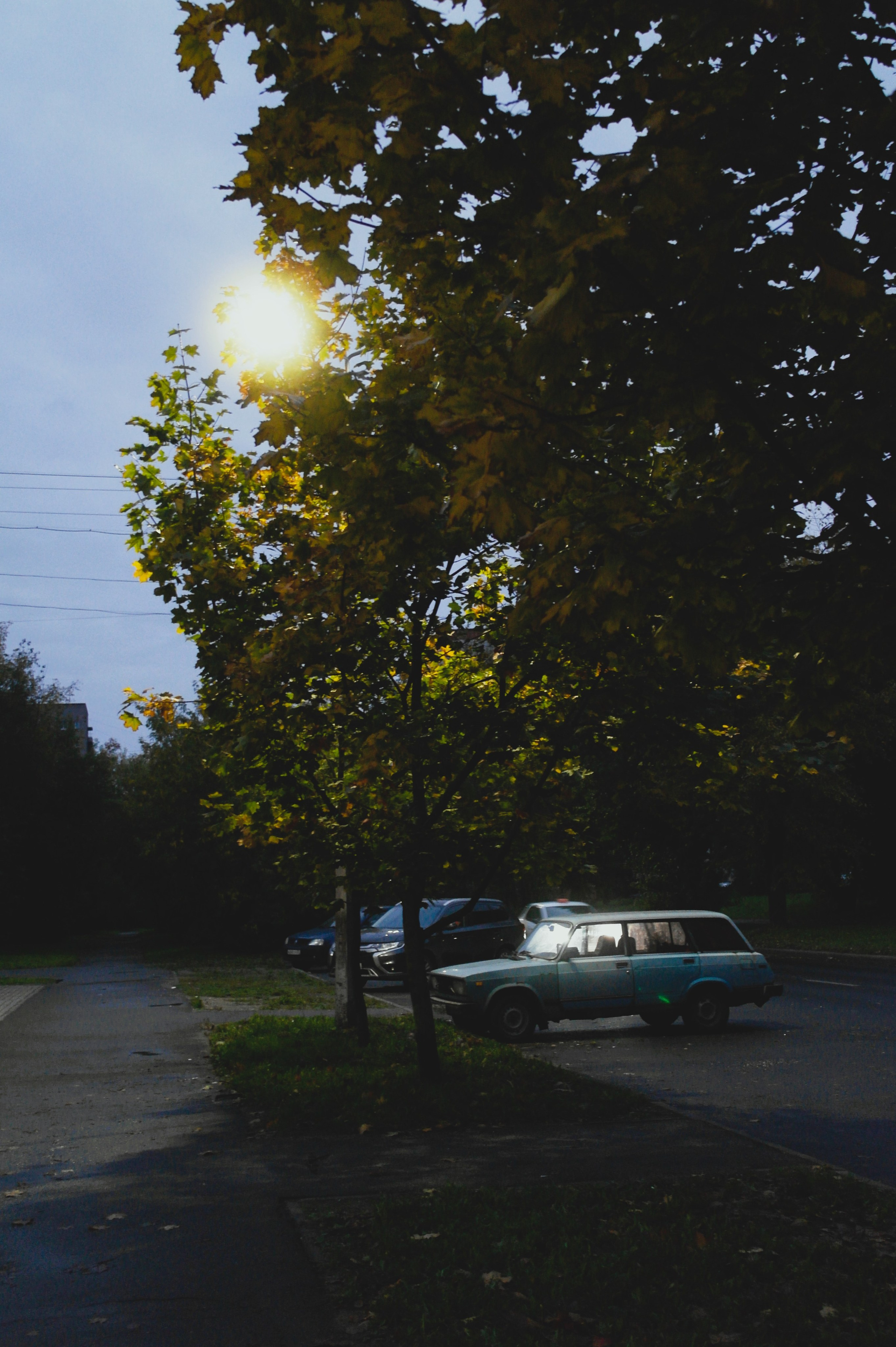 Сентябрь 2025. Den Mirov — Фотограф, Музыкант