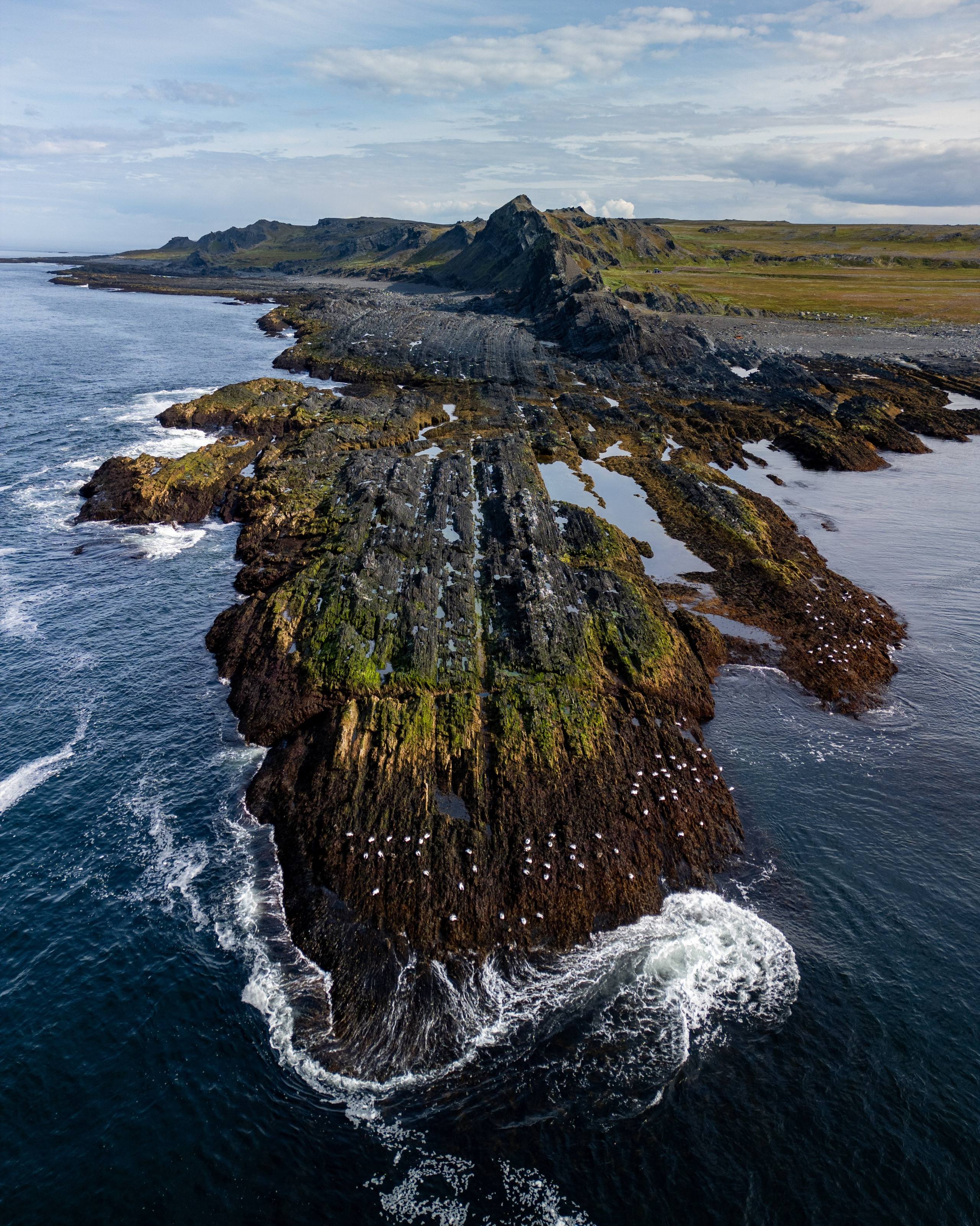 Полуостров Рыбачий. Фотограф Александр Головин