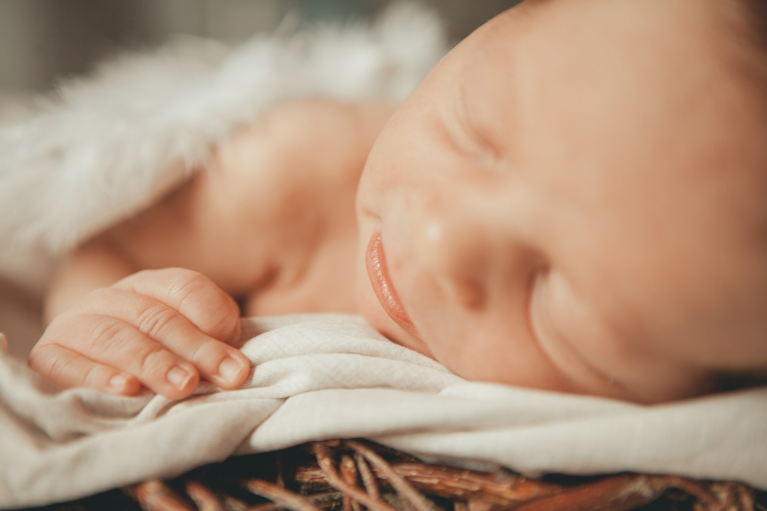 Гордей. Фотограф Ольга Ефремова