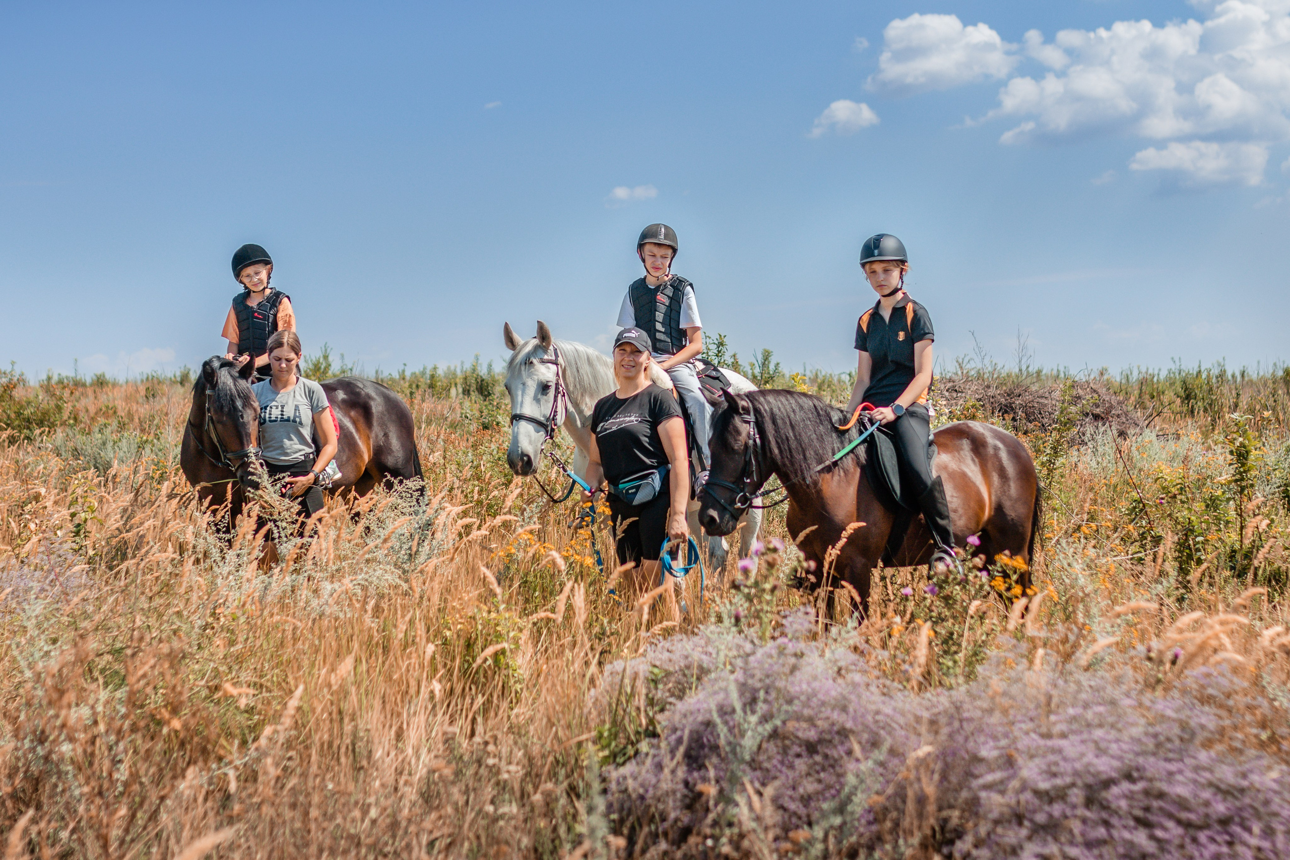 Выезды в поля на лошади