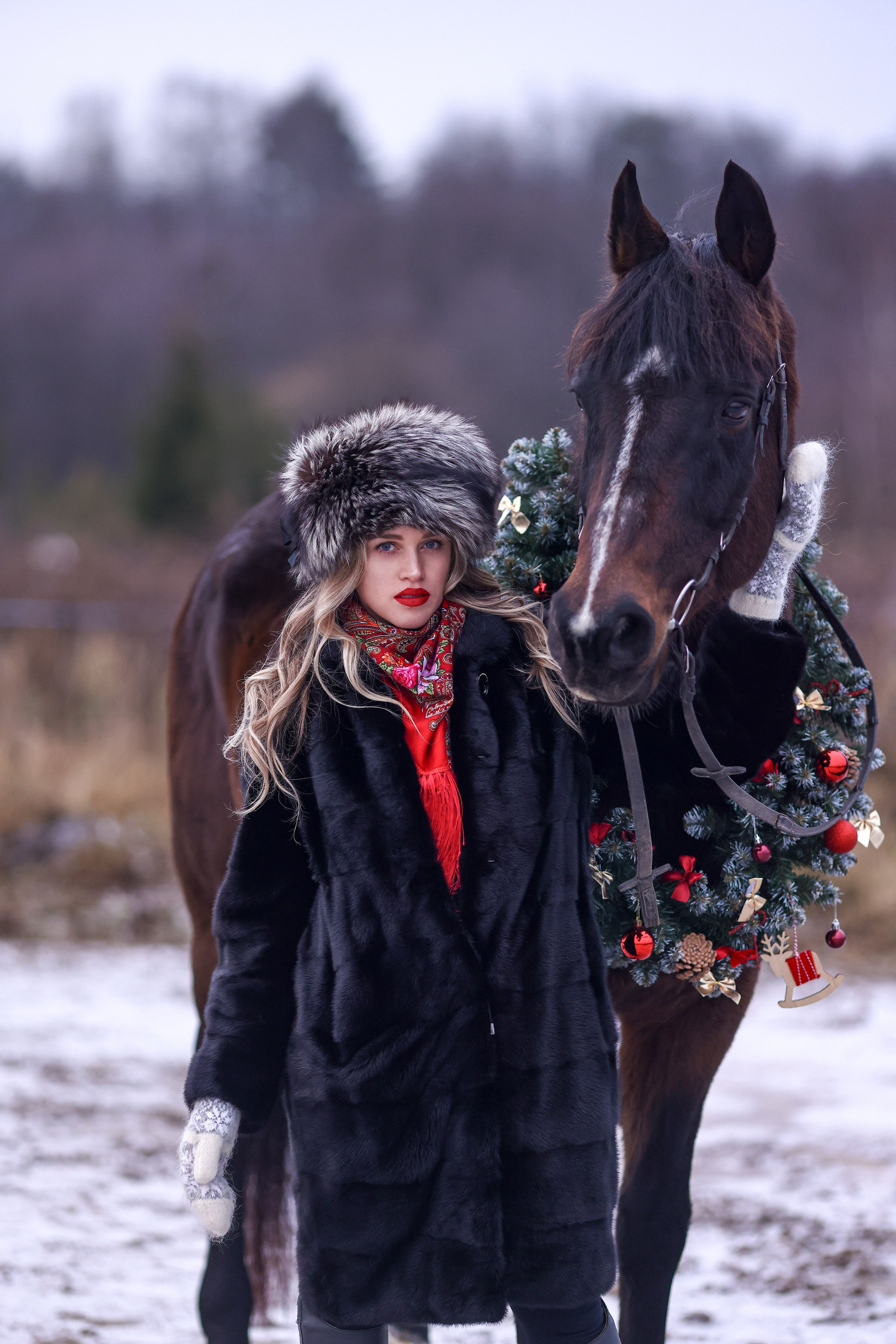 Юля и Питер. Фотосессии с лошадьми