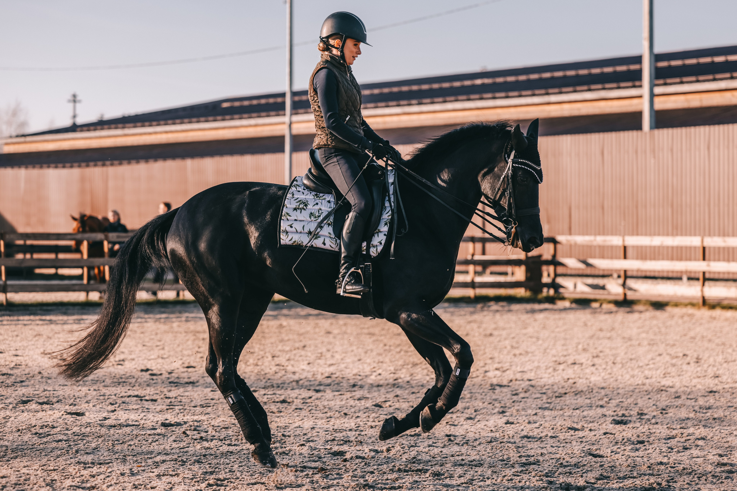 КСК Ждановское фотосессия. Фотосессии с лошадьми