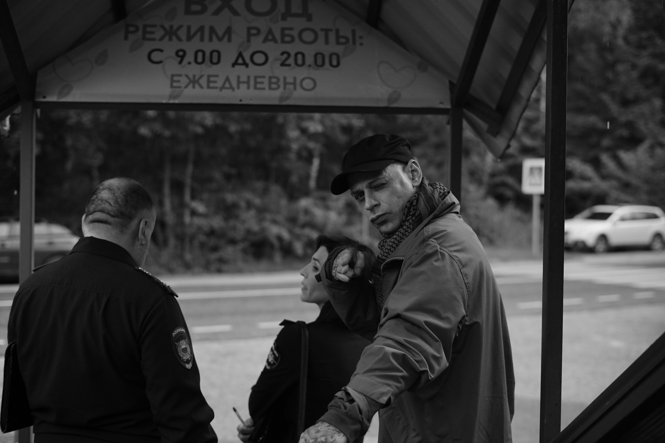 Галерея. Beardy Pix