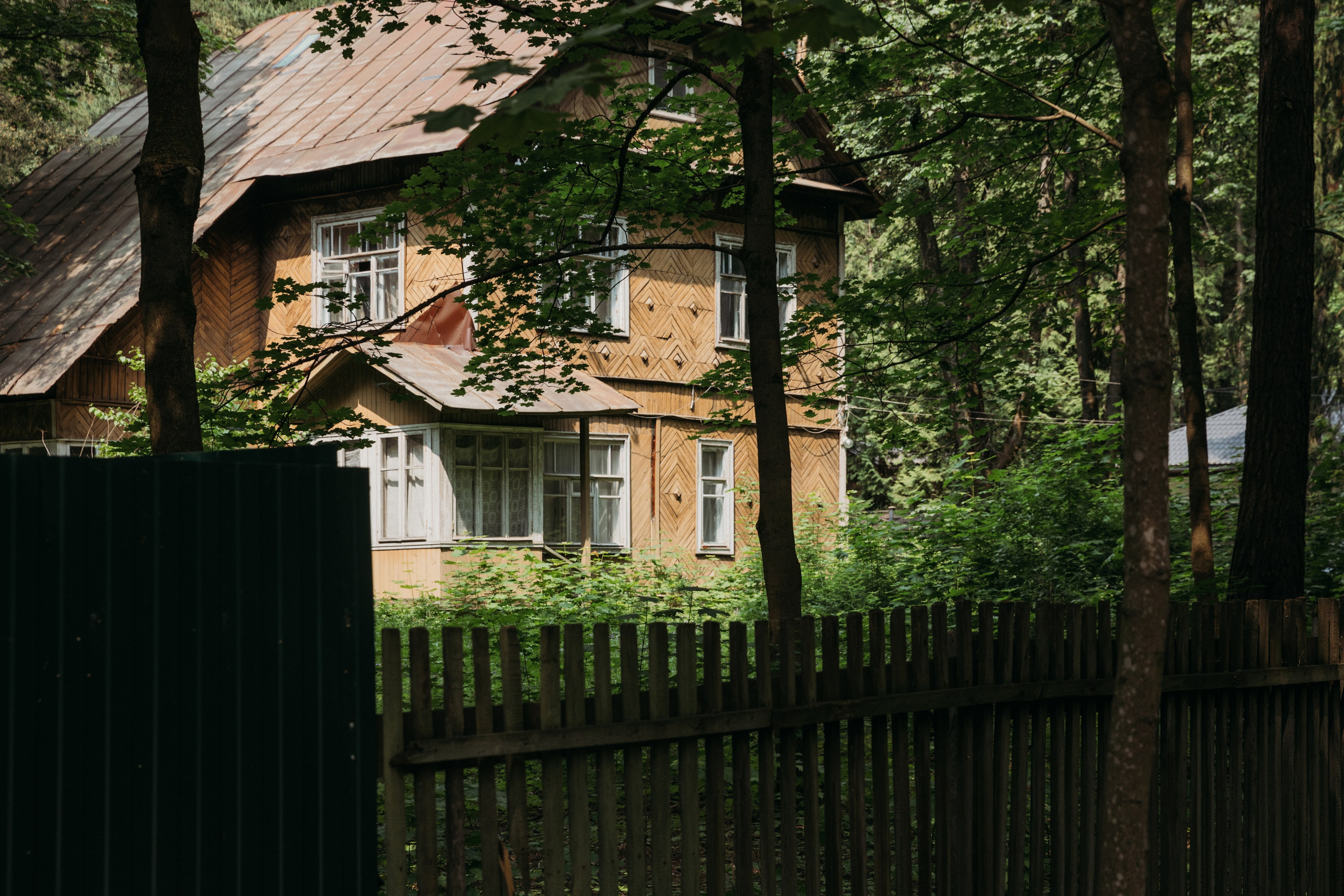 Родные люди «Переделкино». Леся Гаранина. Семейный фотограф/видеограф Москва и область