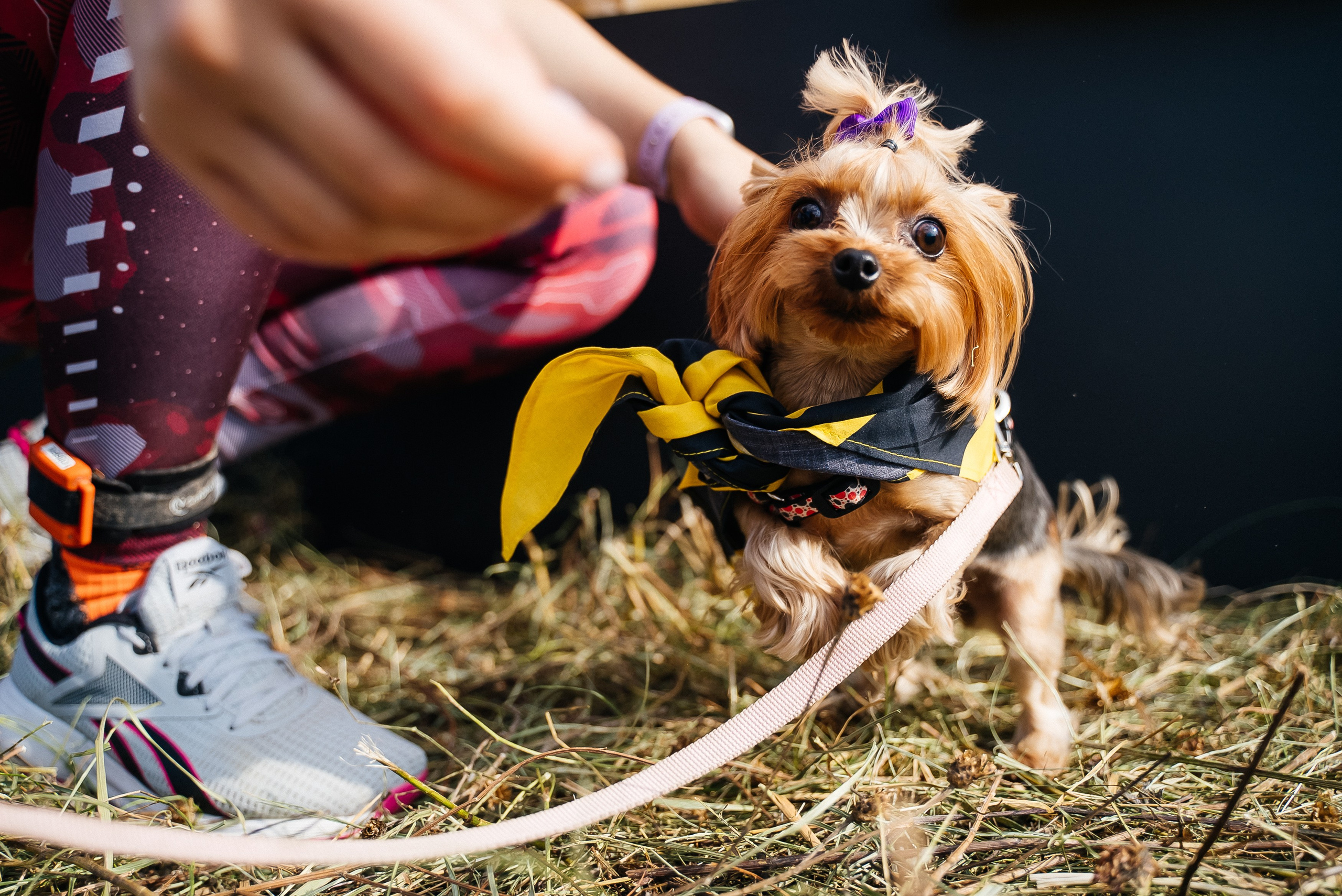 Билайн. Павел Краснов — Свадебный и репортажный фотограф в Москве