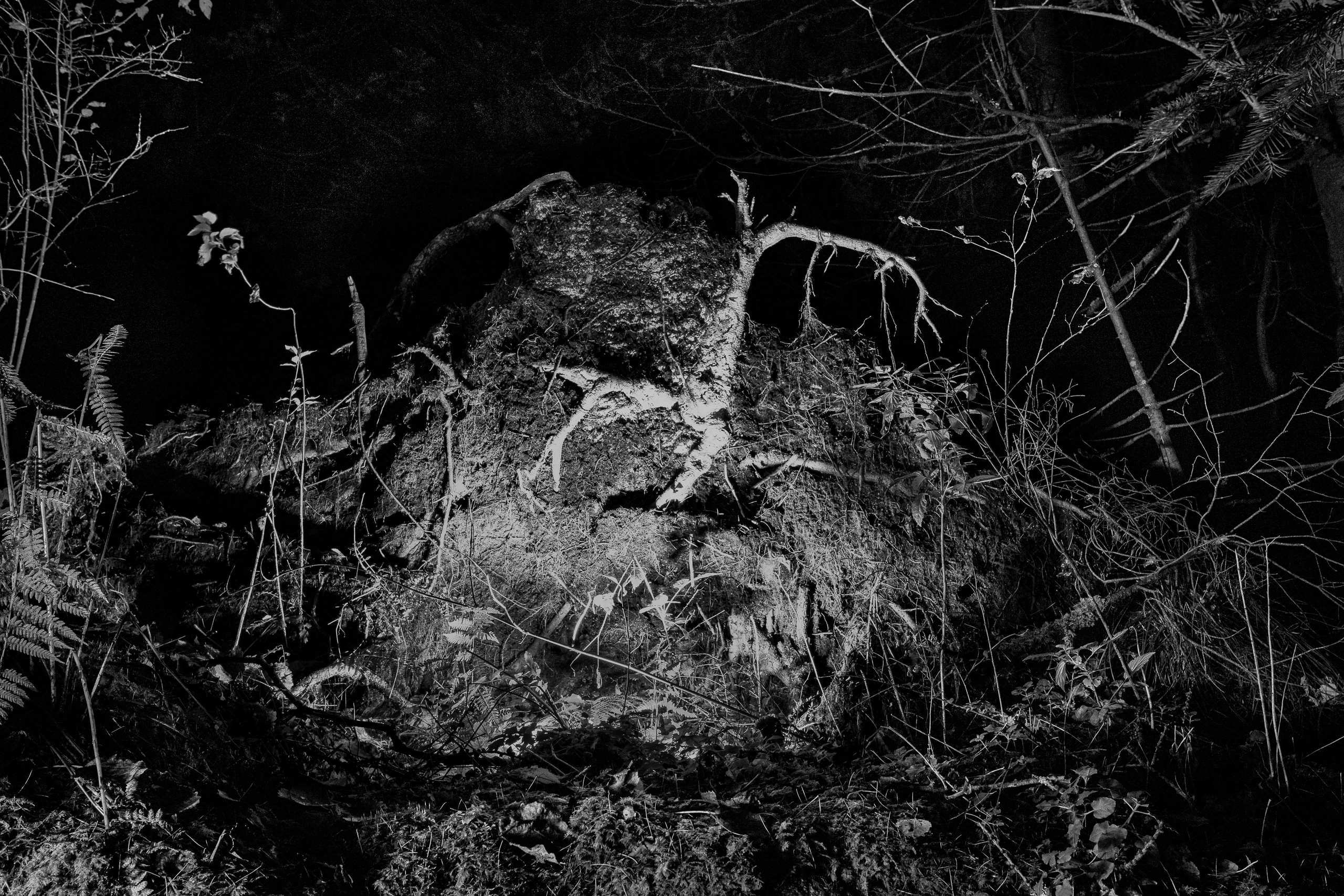 Серия «Горные обитатели». Фотограф в Москве Татьяна Макотра