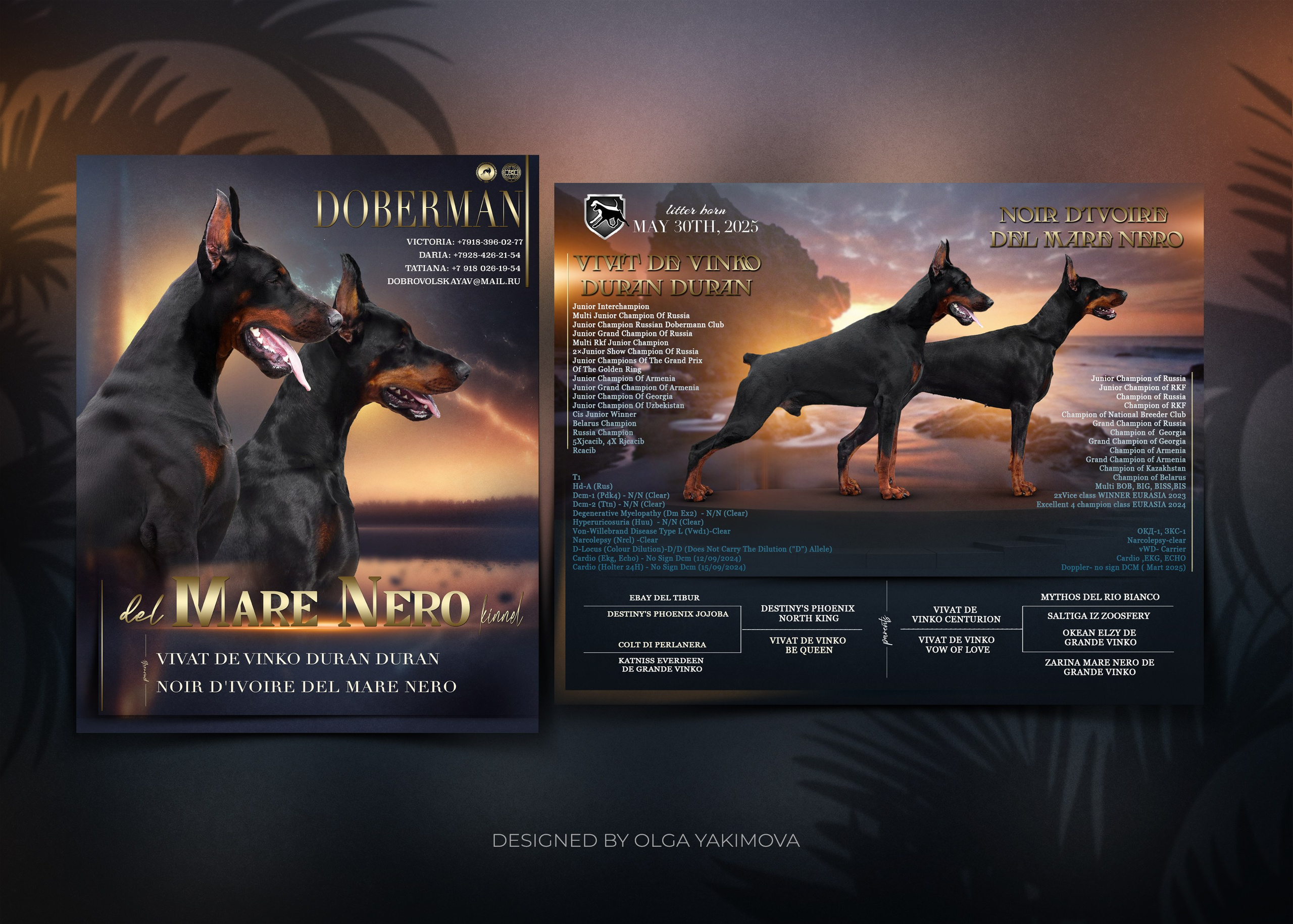 Animal presentation. Фотограф