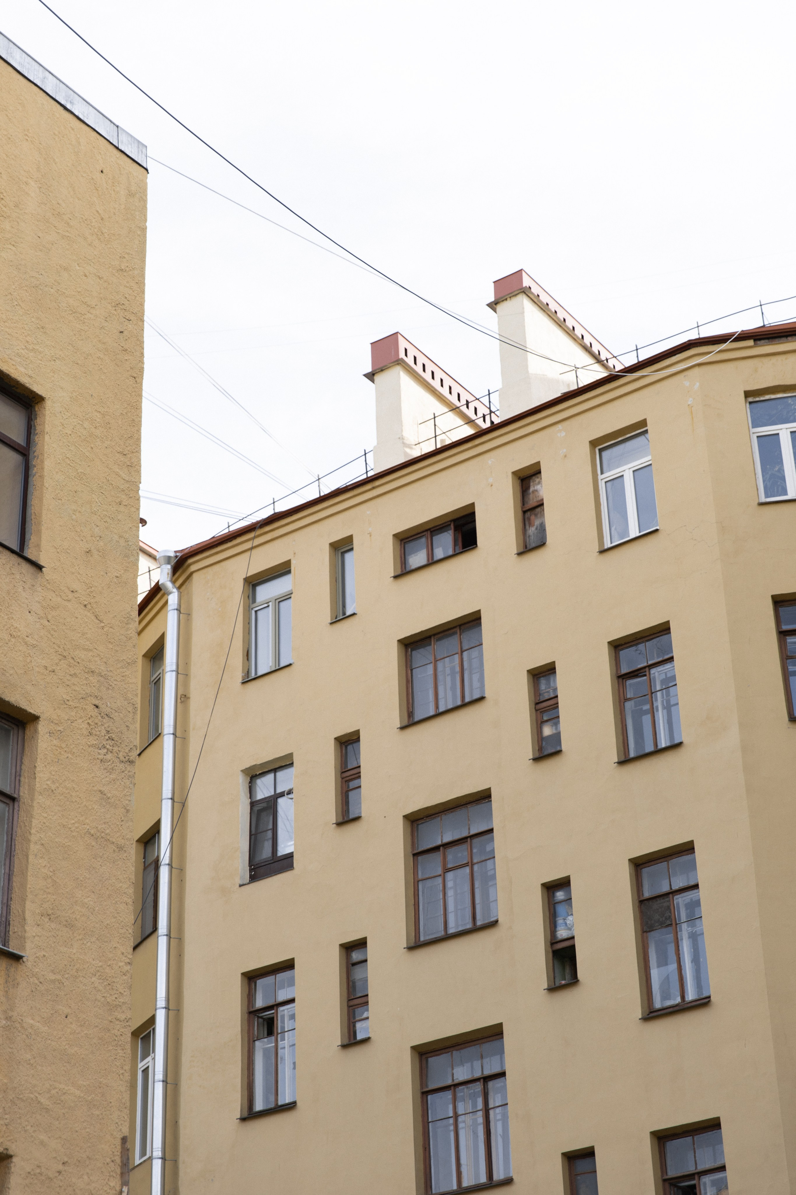 Парадная Ромашка. Фотограф Вышний Волочек/Тверь/Москва/Санкт-Петербург