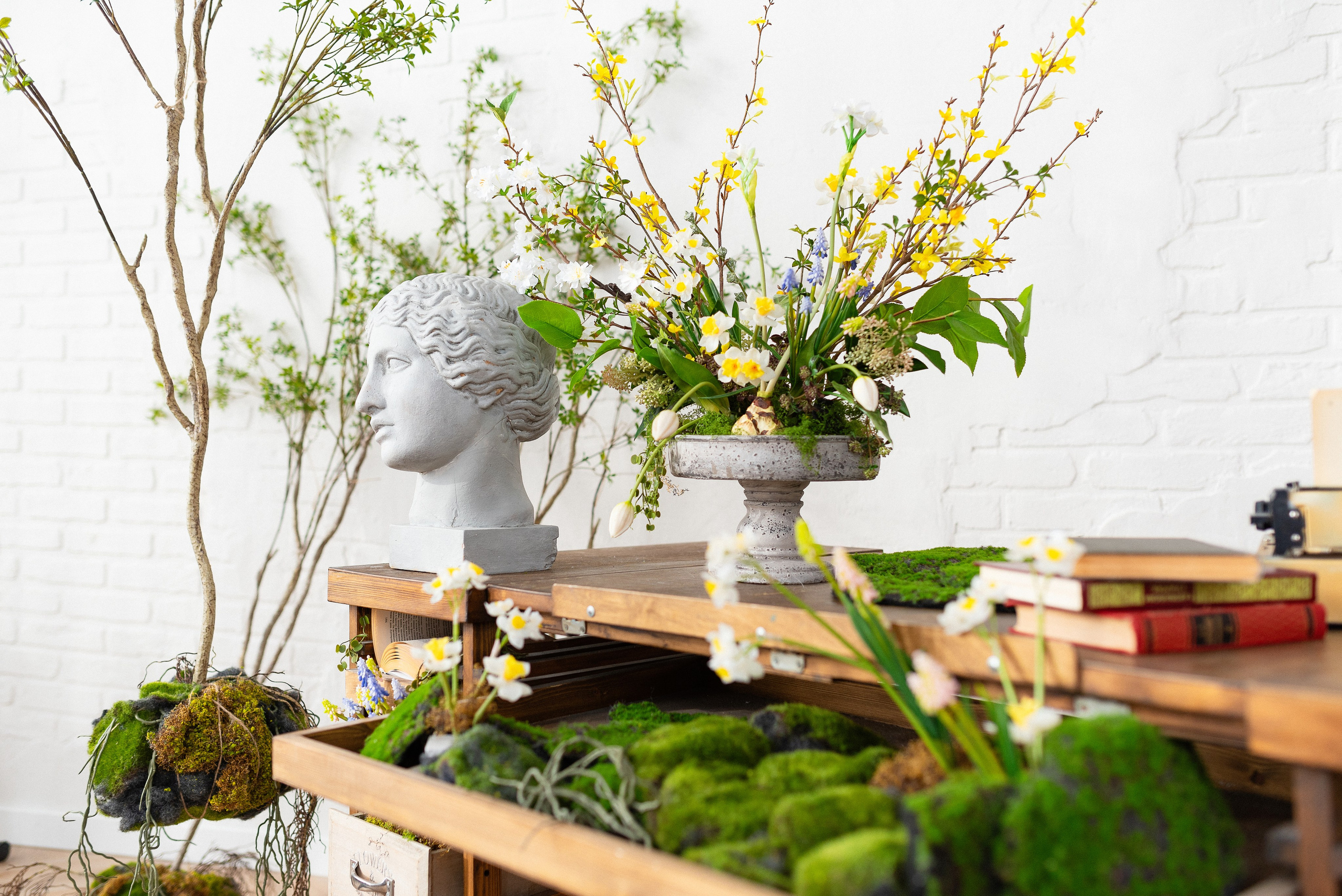 Фотостудия Питер в Сургуте. Детский и семейный фотограф в Сургуте и Нефтеюганске Анна Старцева