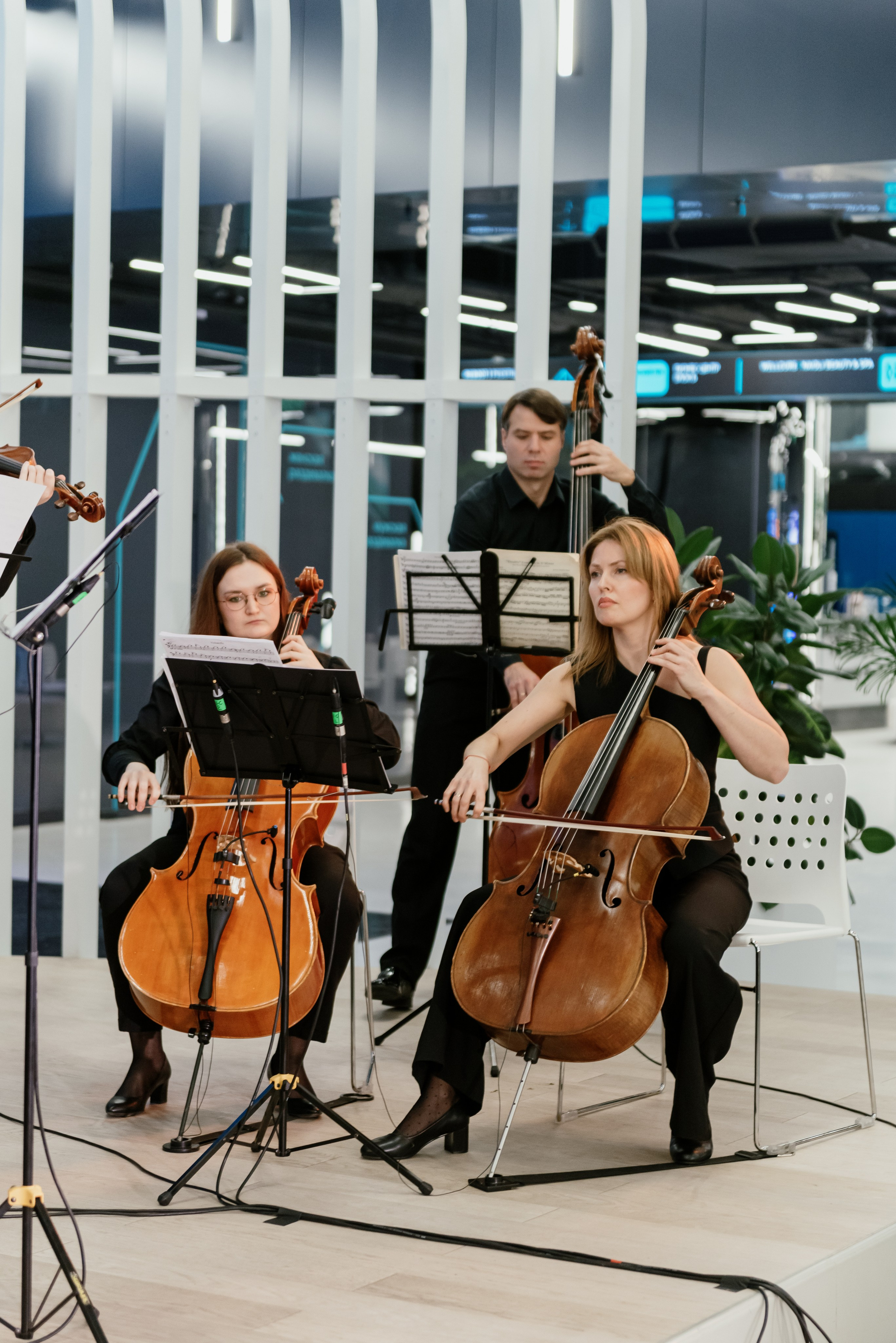 Репортажное портфолио. Фотограф в Москве