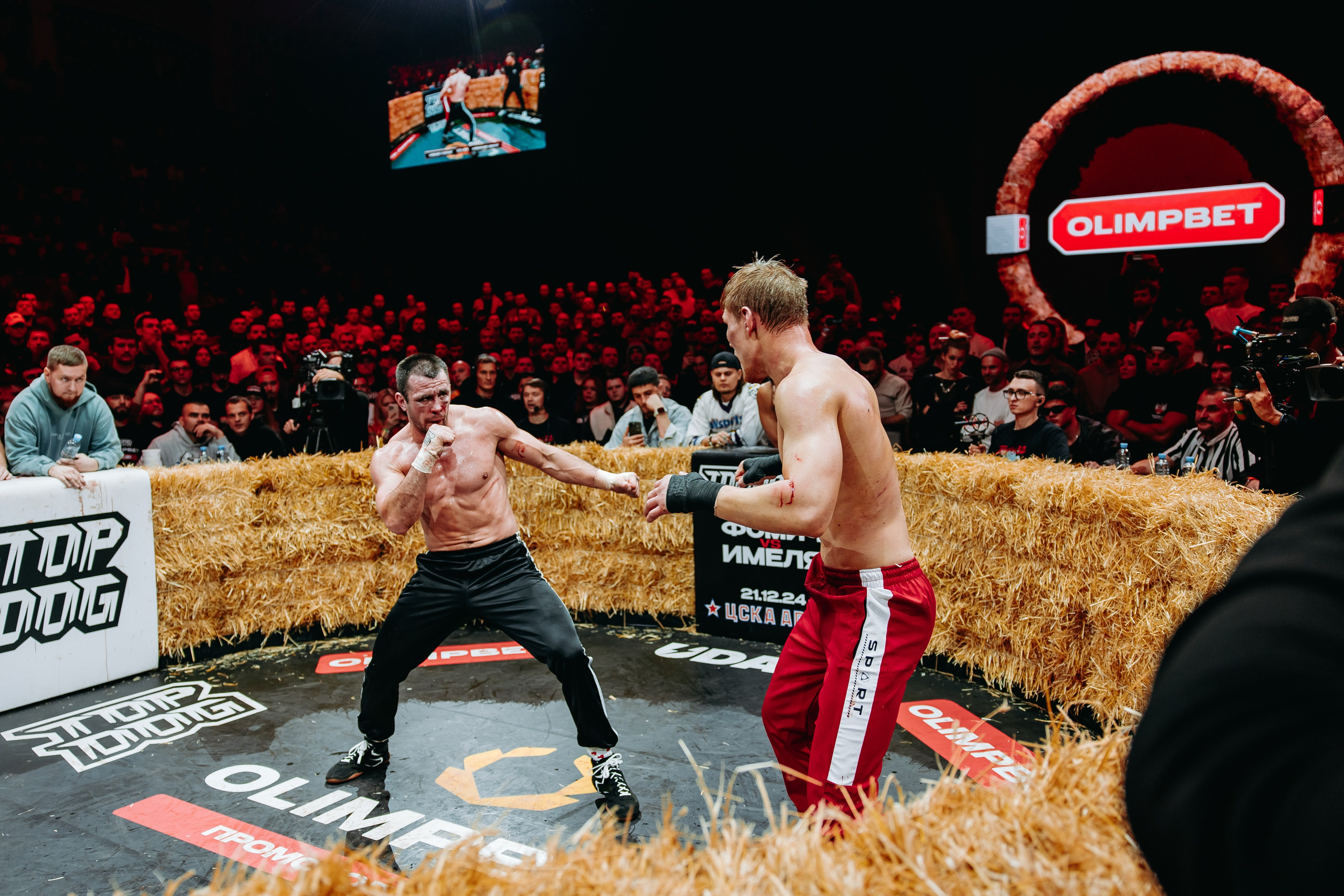 TOPDOG — 32. Фотограф в Саратове Александр Кухаренко. И не только в Саратове :)