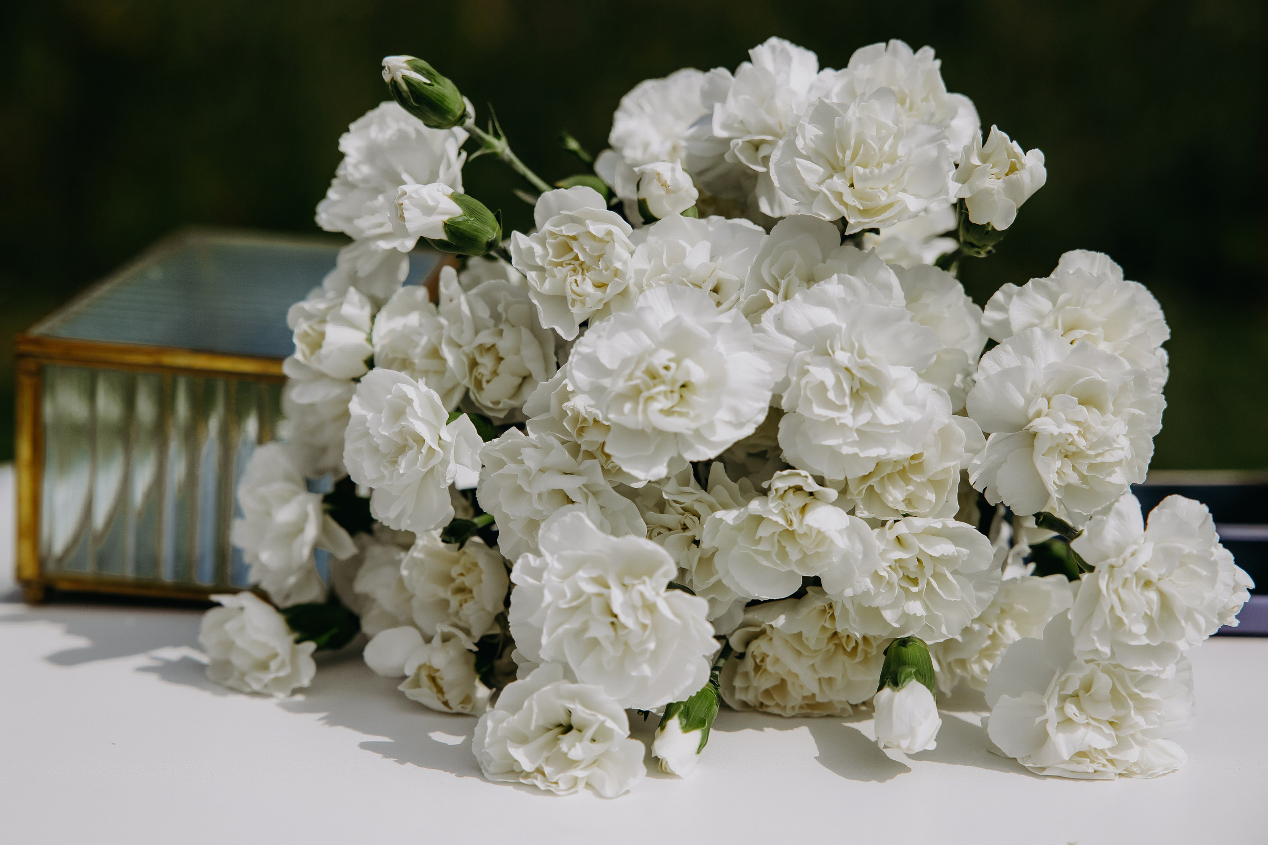 Дмитрий и Яна. Фотограф в Саратове Александр Кухаренко. И не только в Саратове :)