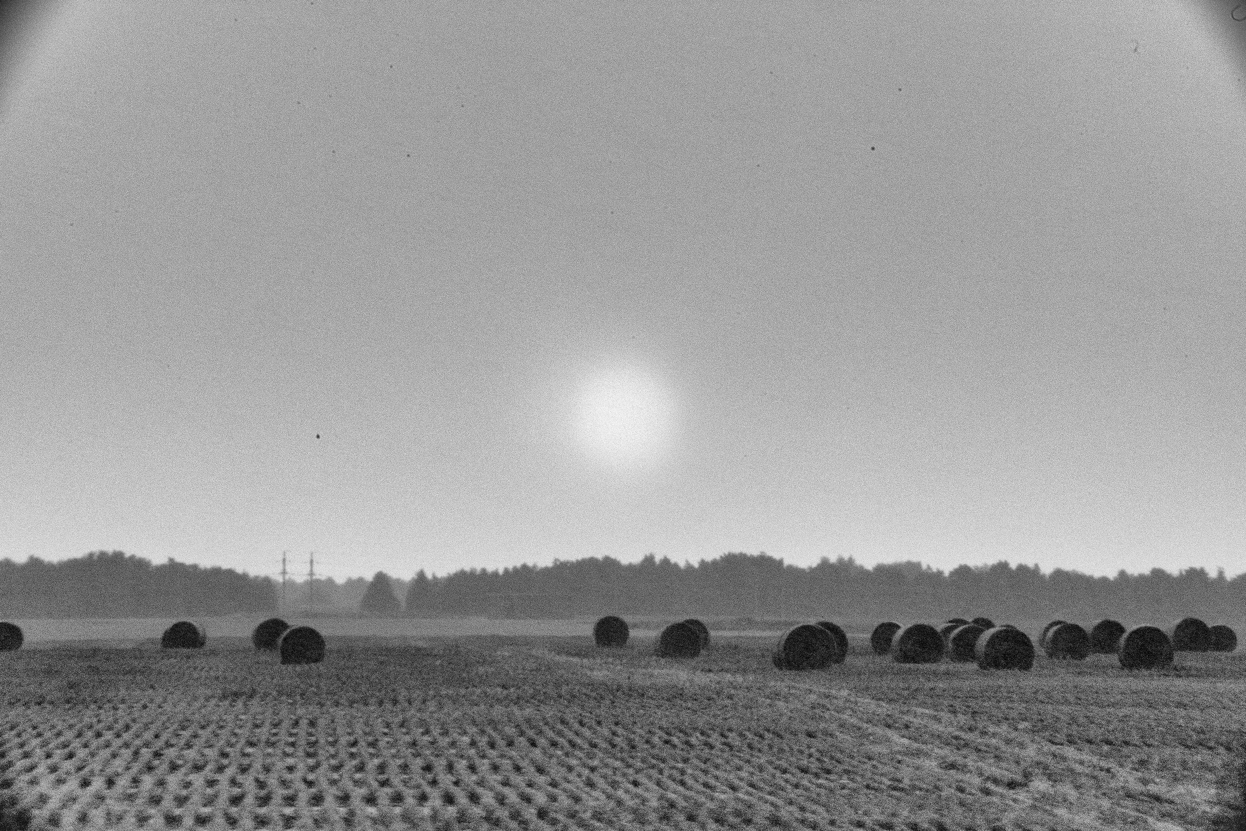 О фотографии