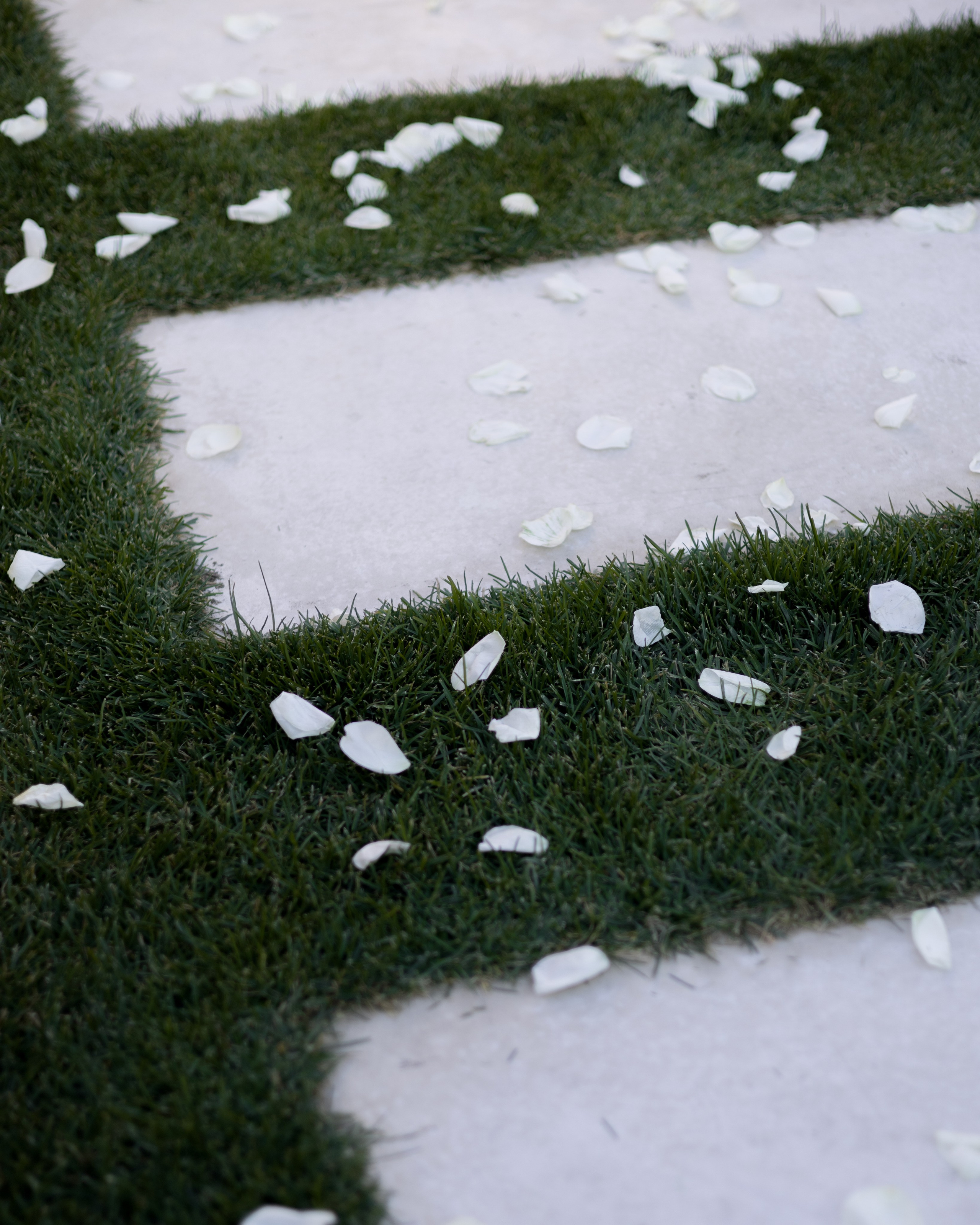 Daniil & polina. Александра Акжигитова I Фотограф Волгоград