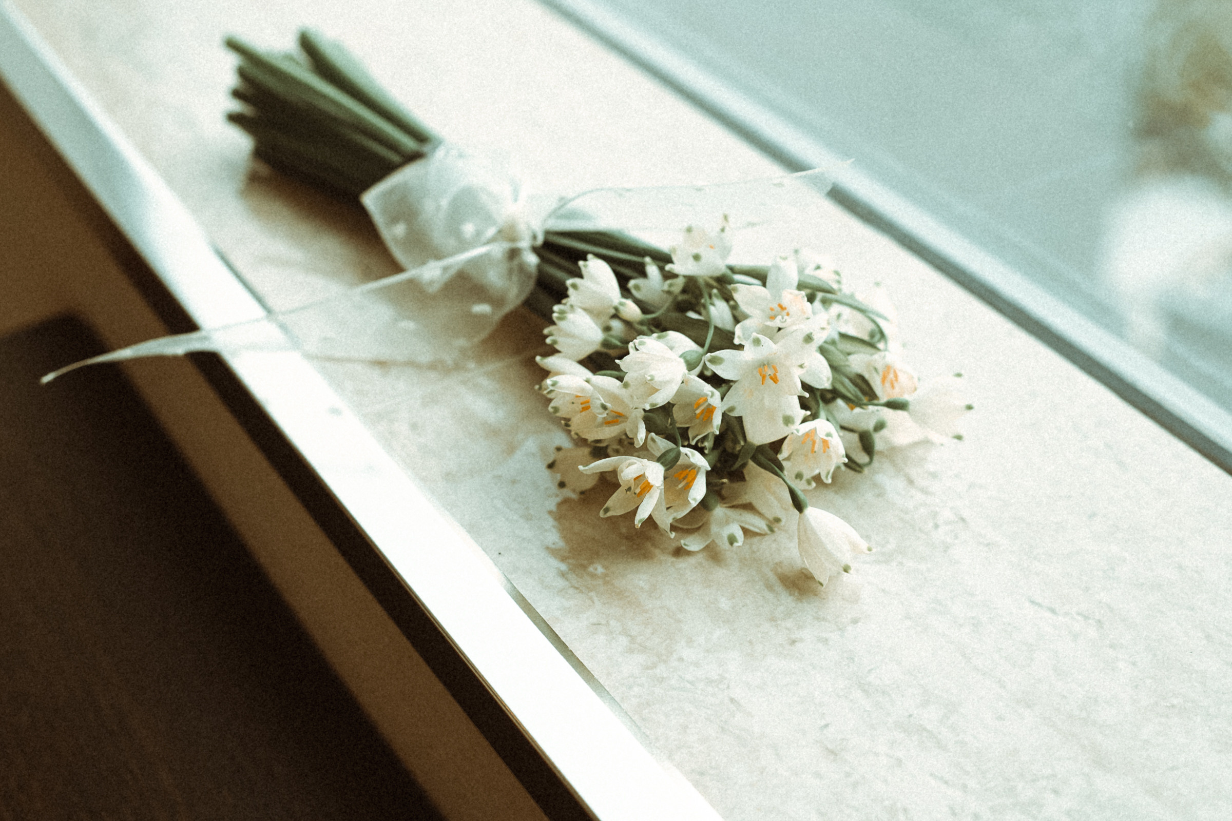 Марк&Елизавета. Краснодар. Фотограф в Санкт Петербурге и Москве Анастасия Сиволод