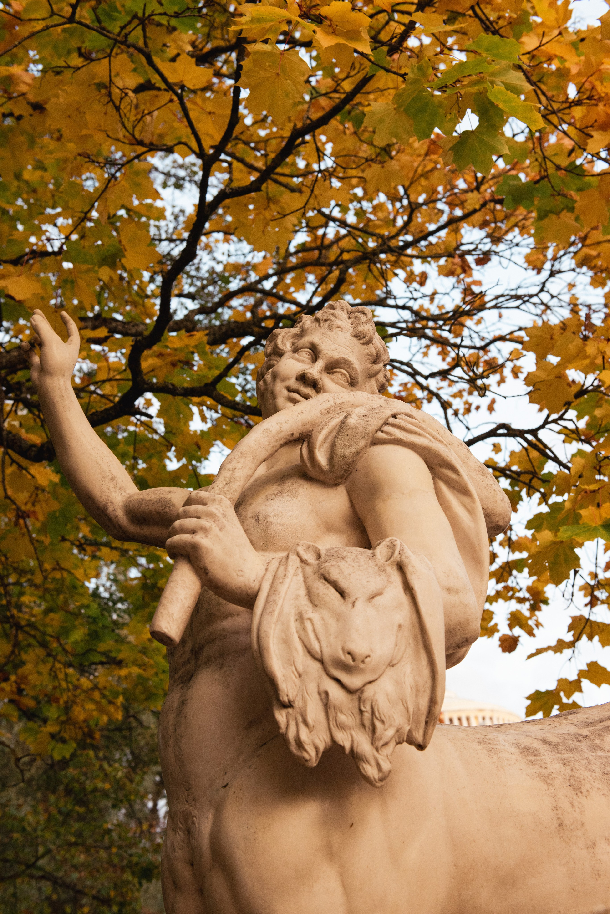 Павловский парк. Портретный и архитектурный фотограф в Москве и Санкт-Петербурге