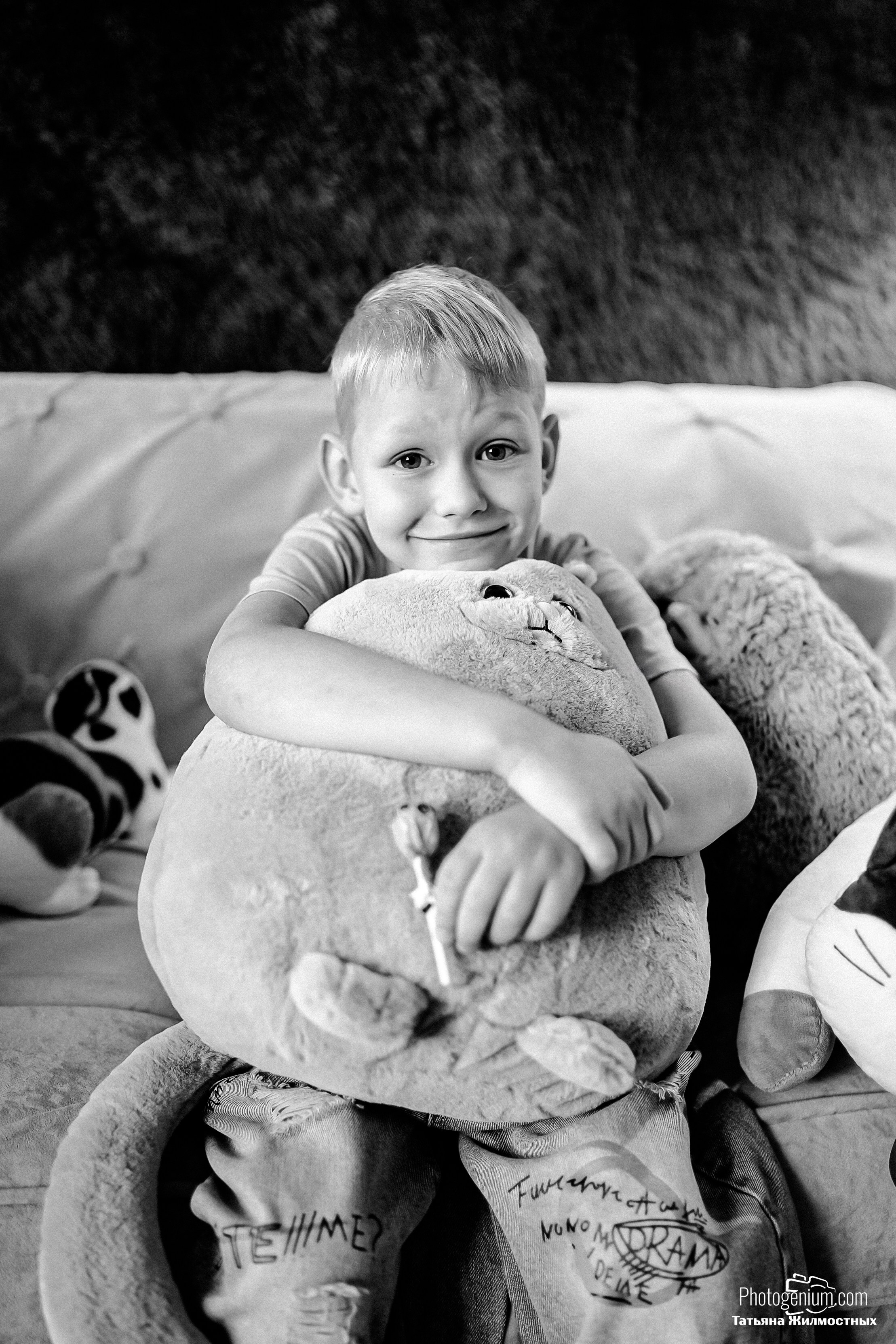 Студийная съемка Котики. Фотограф Нижний Новгород Татьяна Кэйод