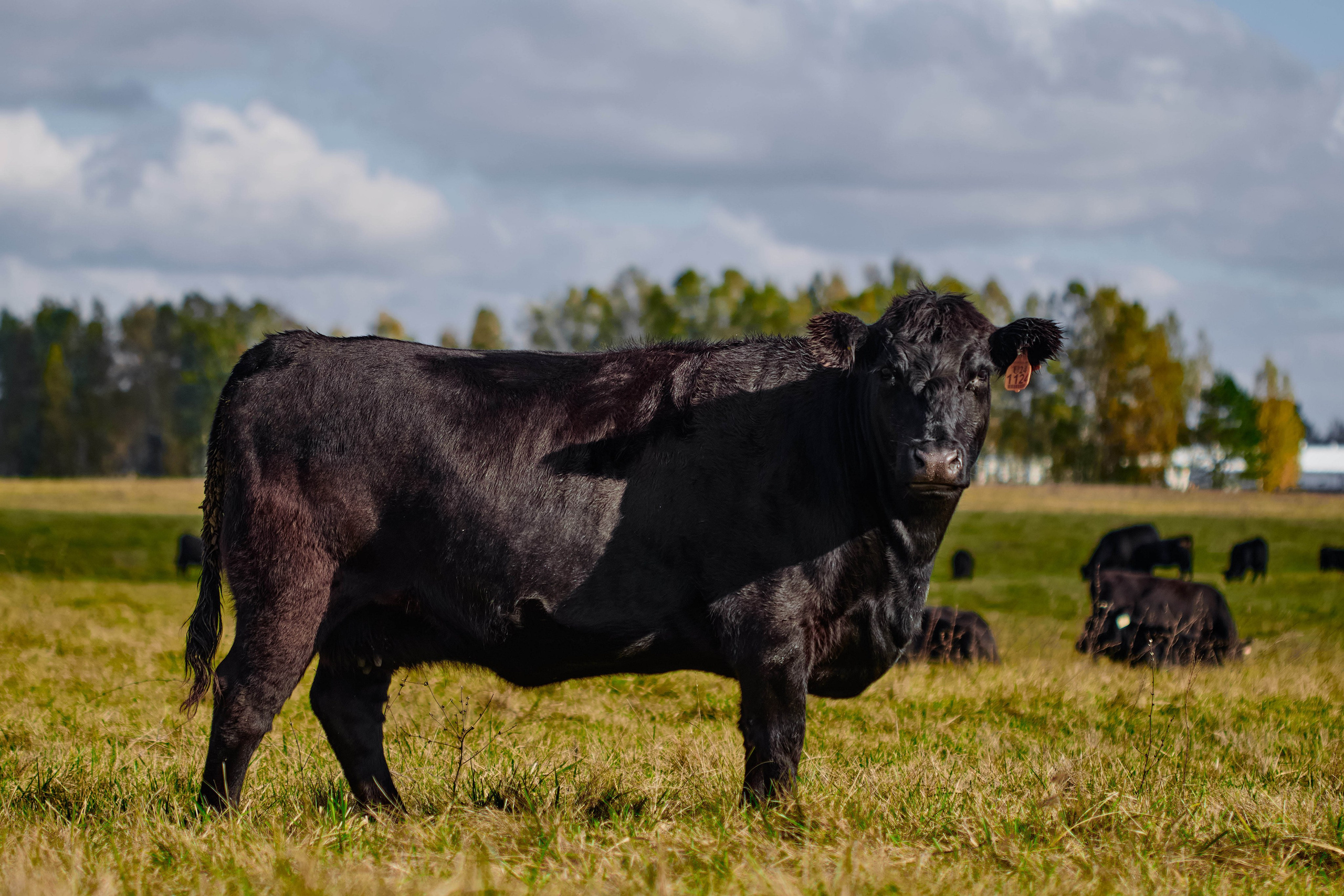 Фотограф на мероприятие. Light Media — креативный видеопродакшн