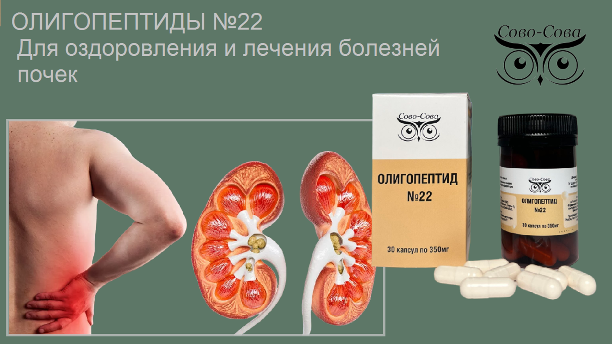 Олигопептид № 22 — Для оздоровления и лечения болезней почек