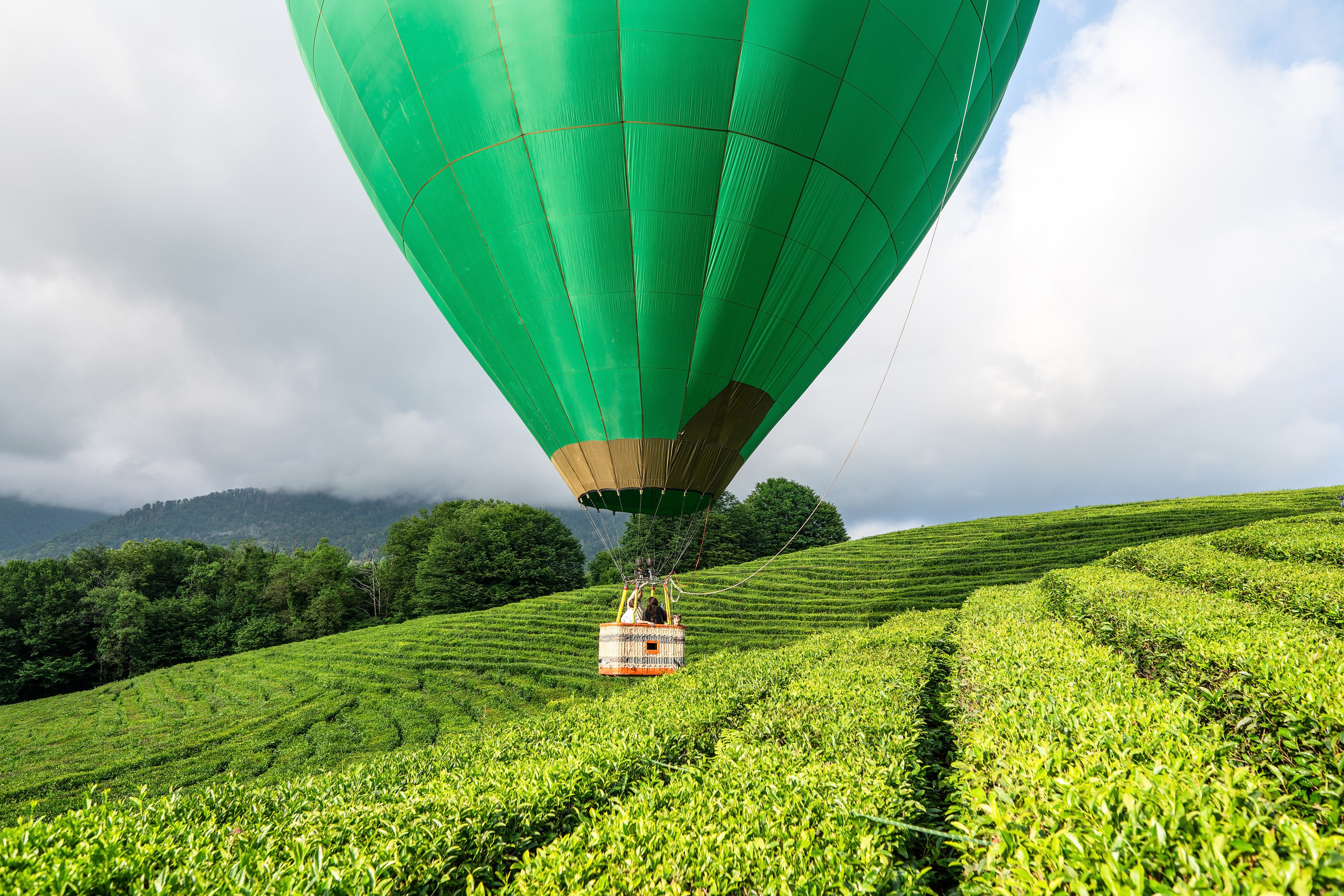 Фотограф на праздник Сочи. Фотограф Сочи