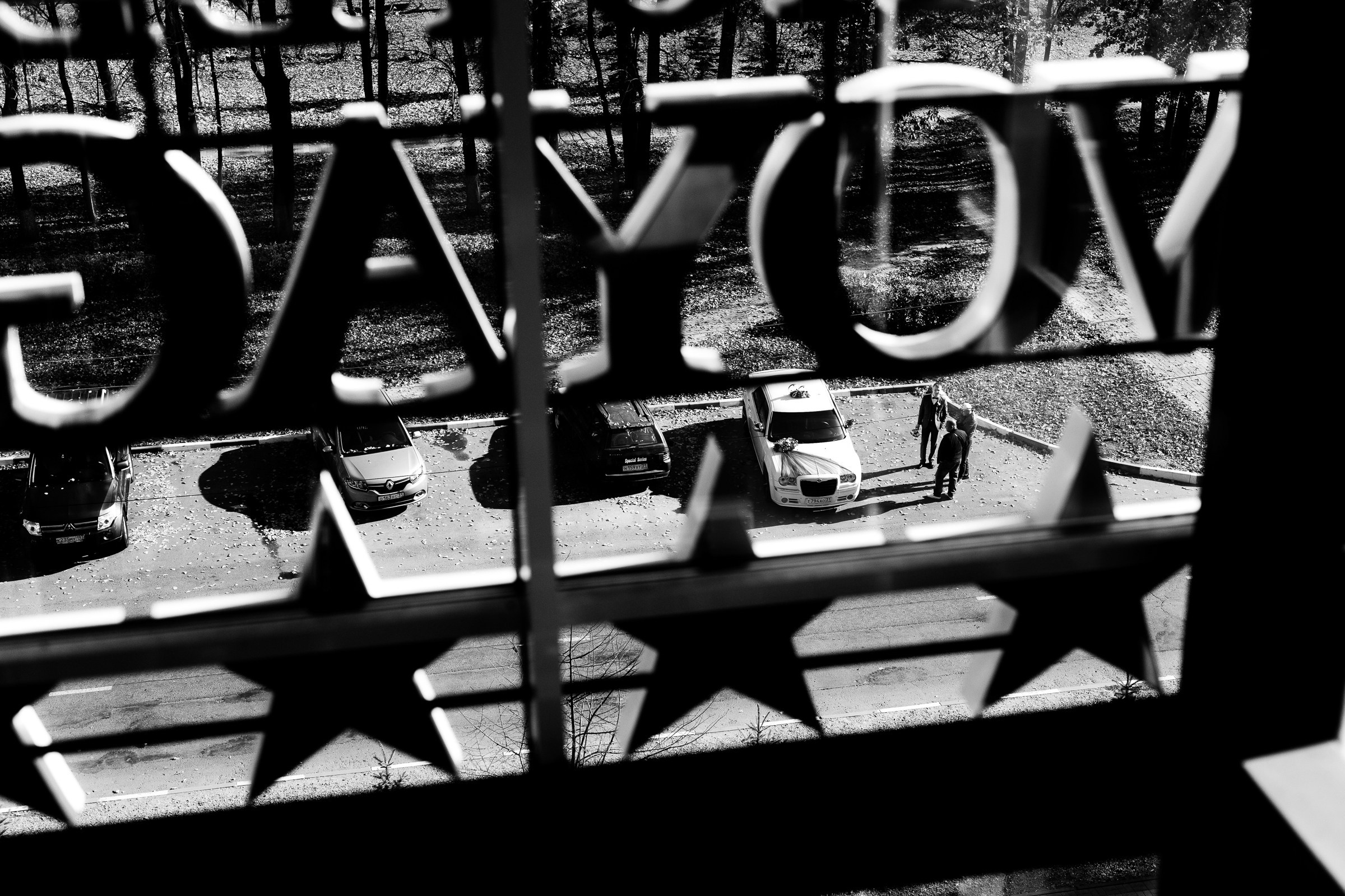 Юля и Дима. Свадебный фотограф в Воронеже Иван Самодуров