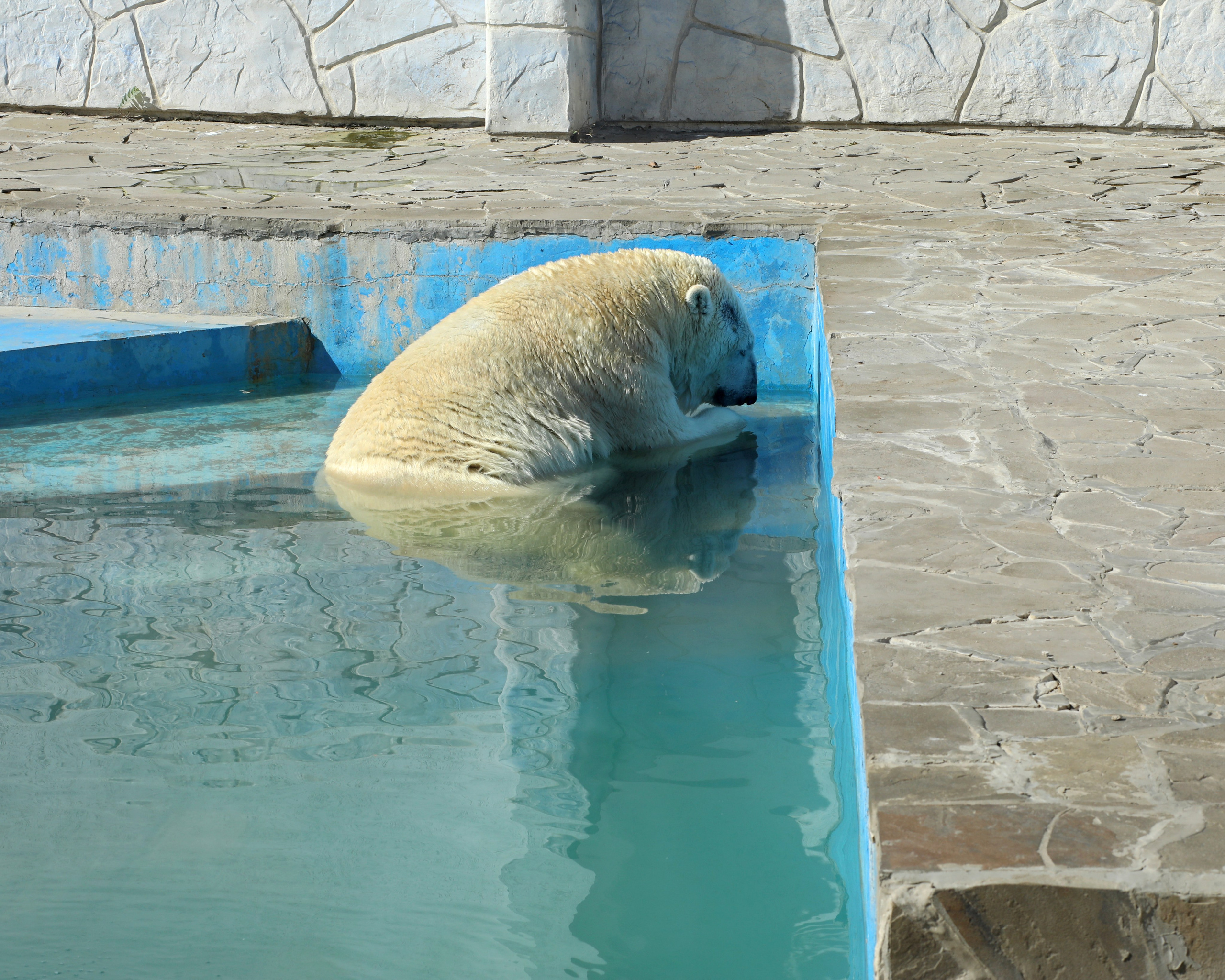 Ростовский зоопарк. Фото-художник и Репортажный фотограф Николаев Александр Алексеевич