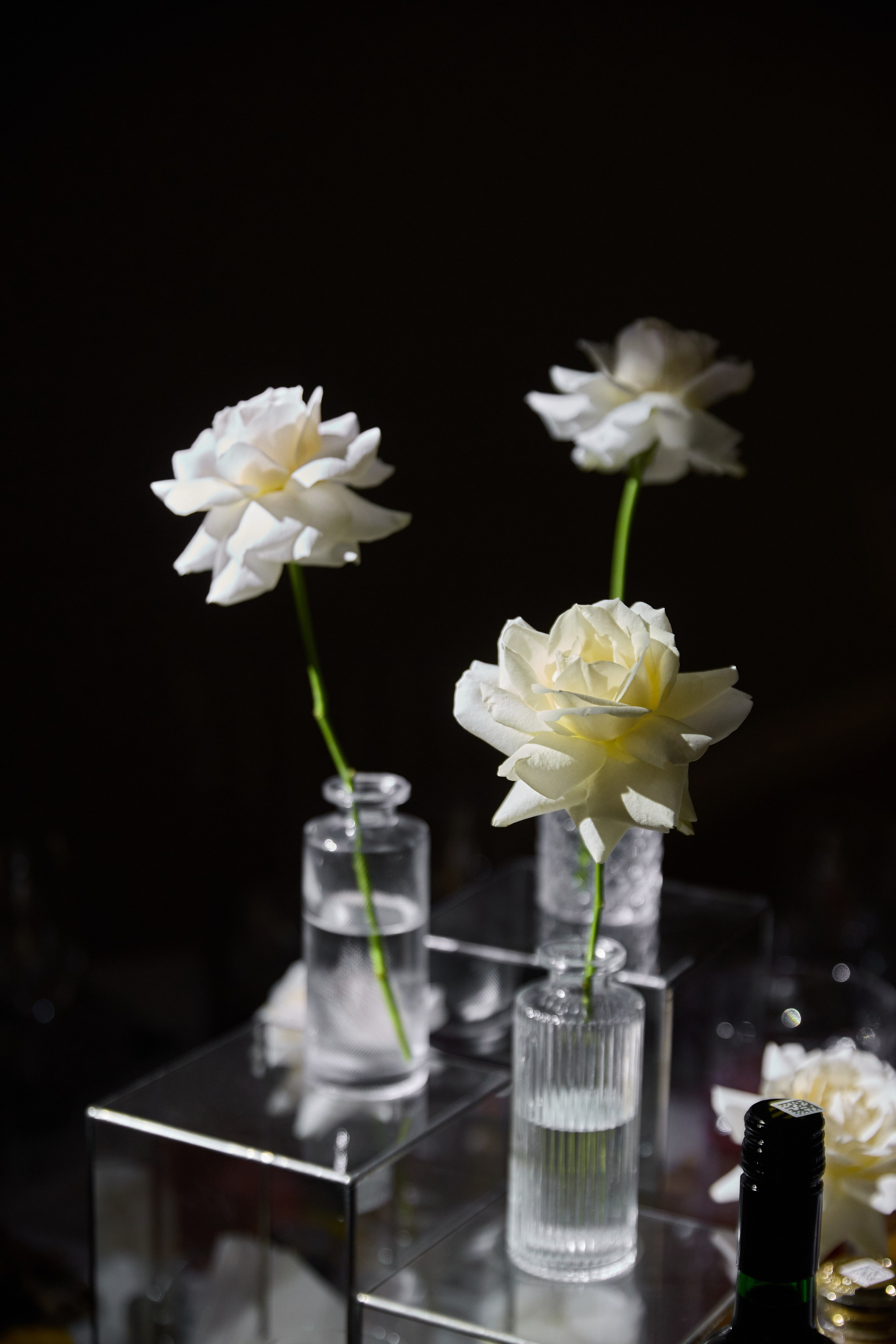 Ангелина и Руслан. Juliashtondic. photo