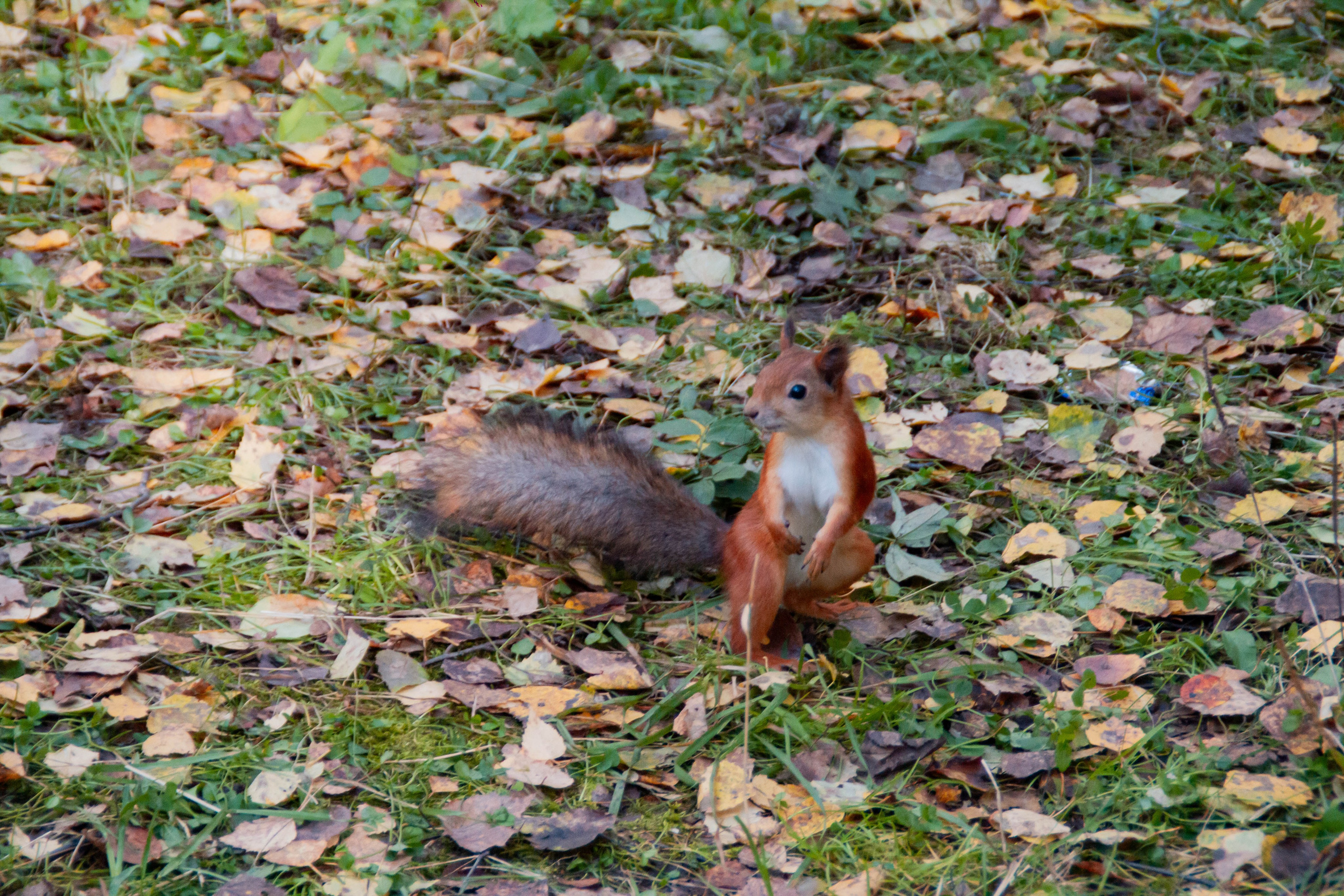 День здоровья в Екатеринбургской академии современного искусства 2025
