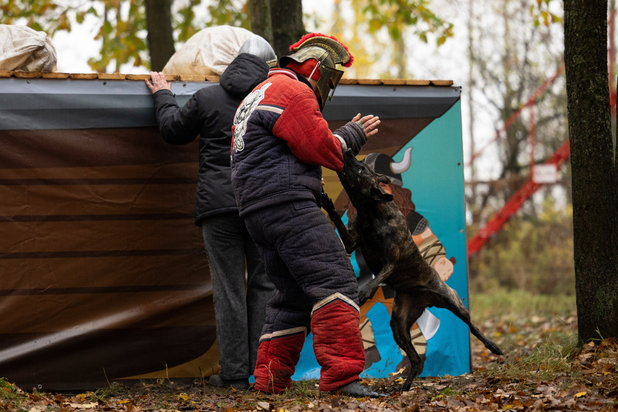 Соревнования по Мондьорингу г. Вологда. Фотограф-анималист Анна Маринич