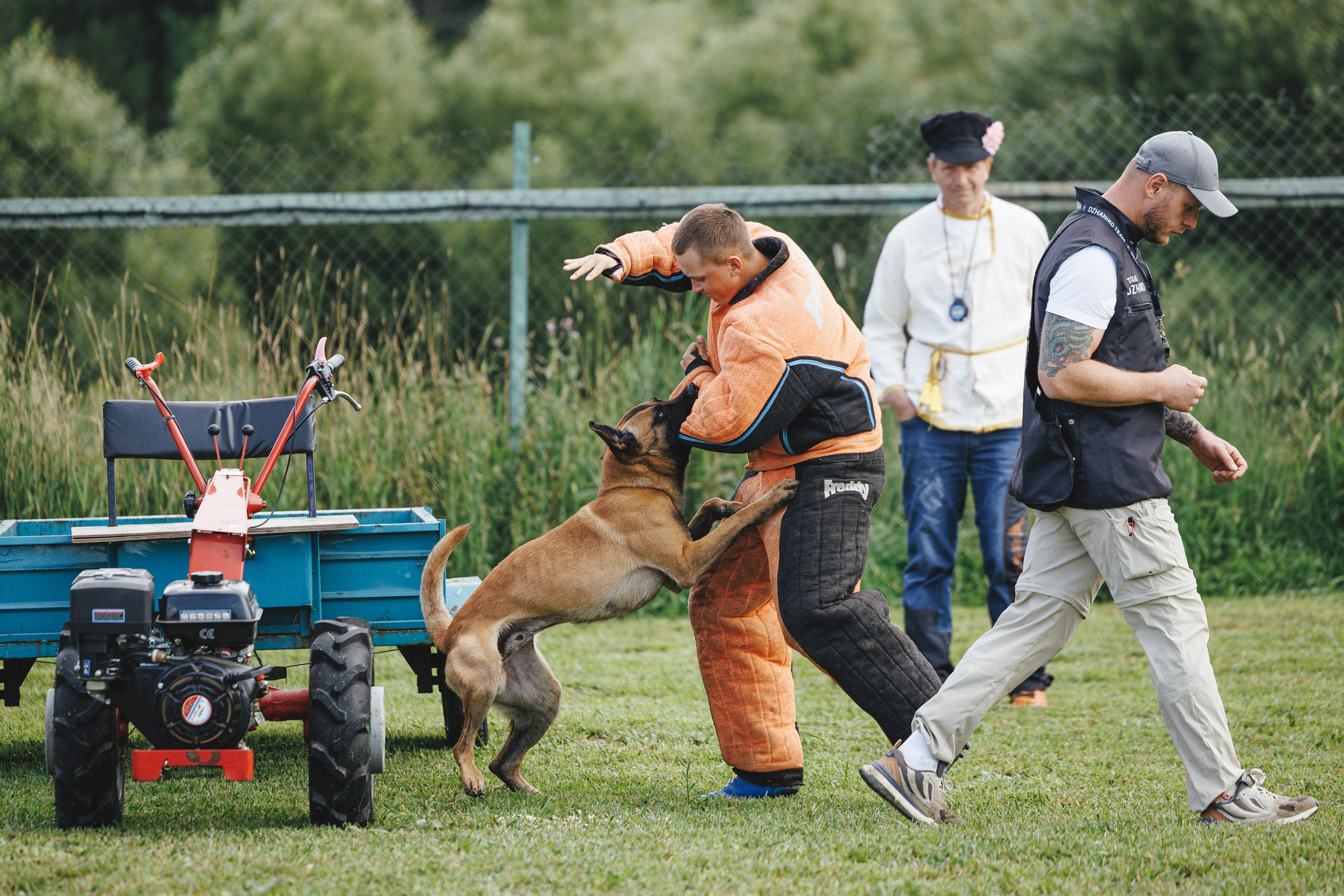 08.08.25-10.08.25 ЧР по мондьорингу г. Вологда. Фотограф-анималист Анна Маринич