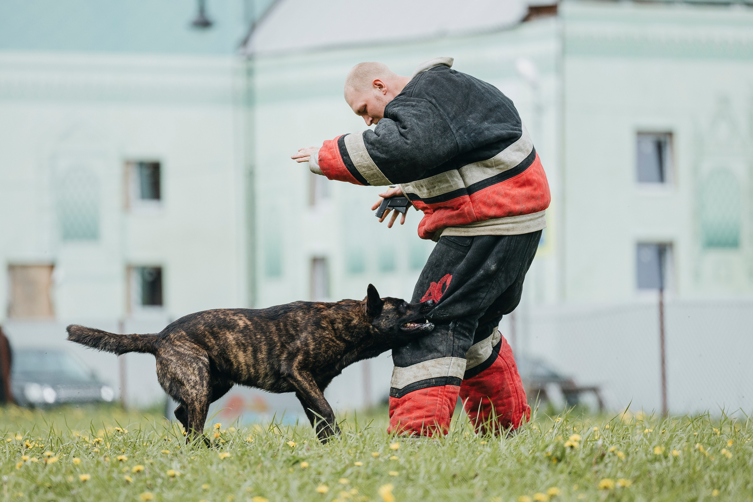 26.05.25 г. Пушкин квалификационные соревнования. Фотограф-анималист Анна Маринич