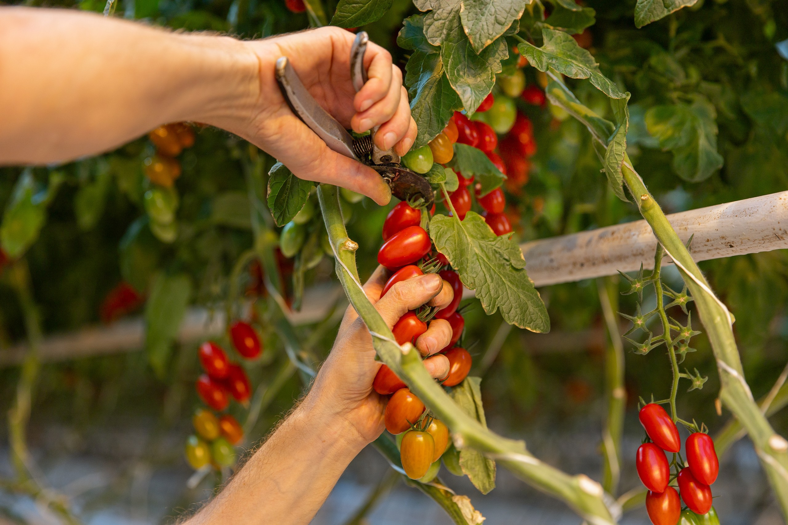 Производство. Фотограф Николай Петрушкин | Ставрополь, Москва