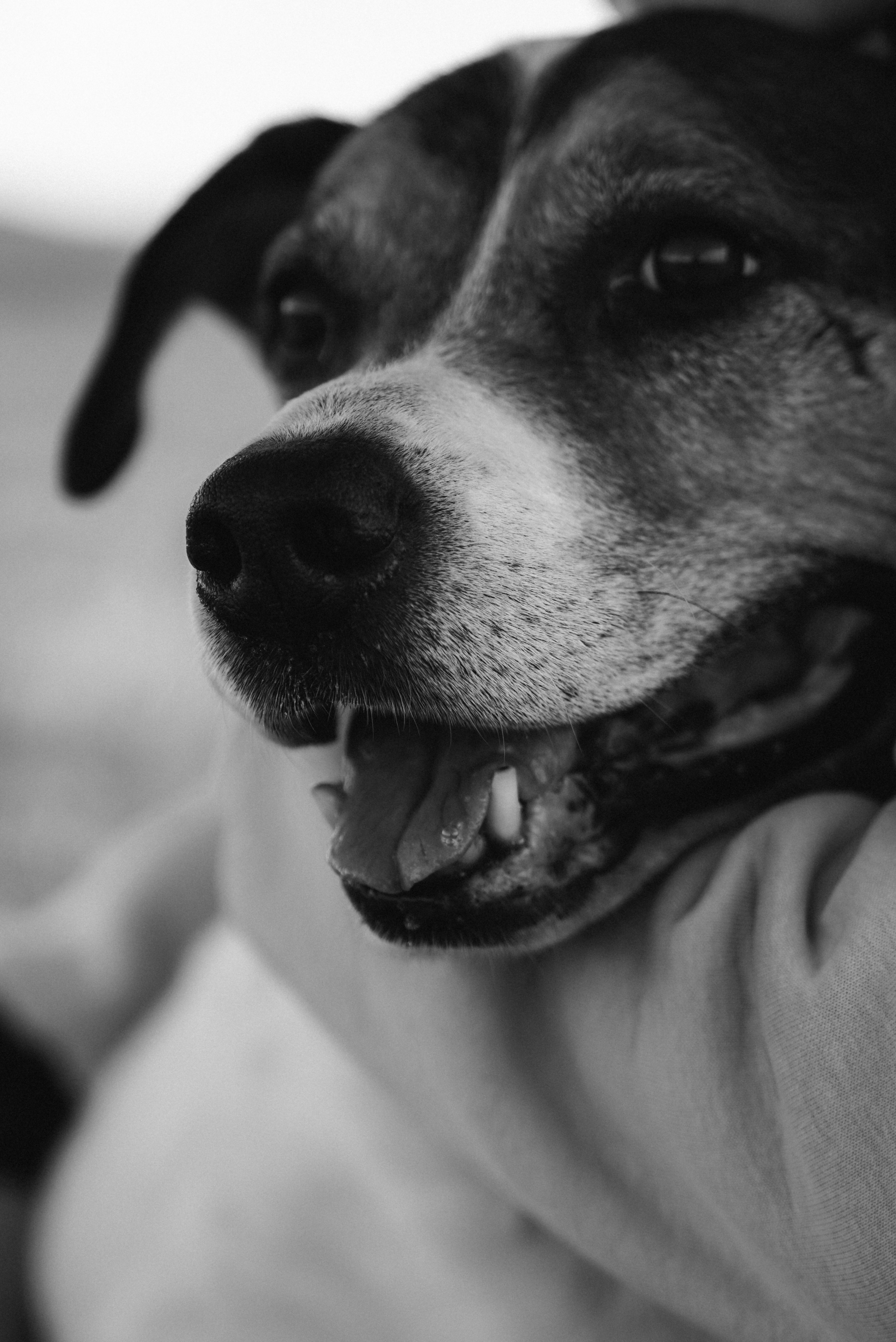 Друзья. Фотограф на Камчатке Воронина Ульяна