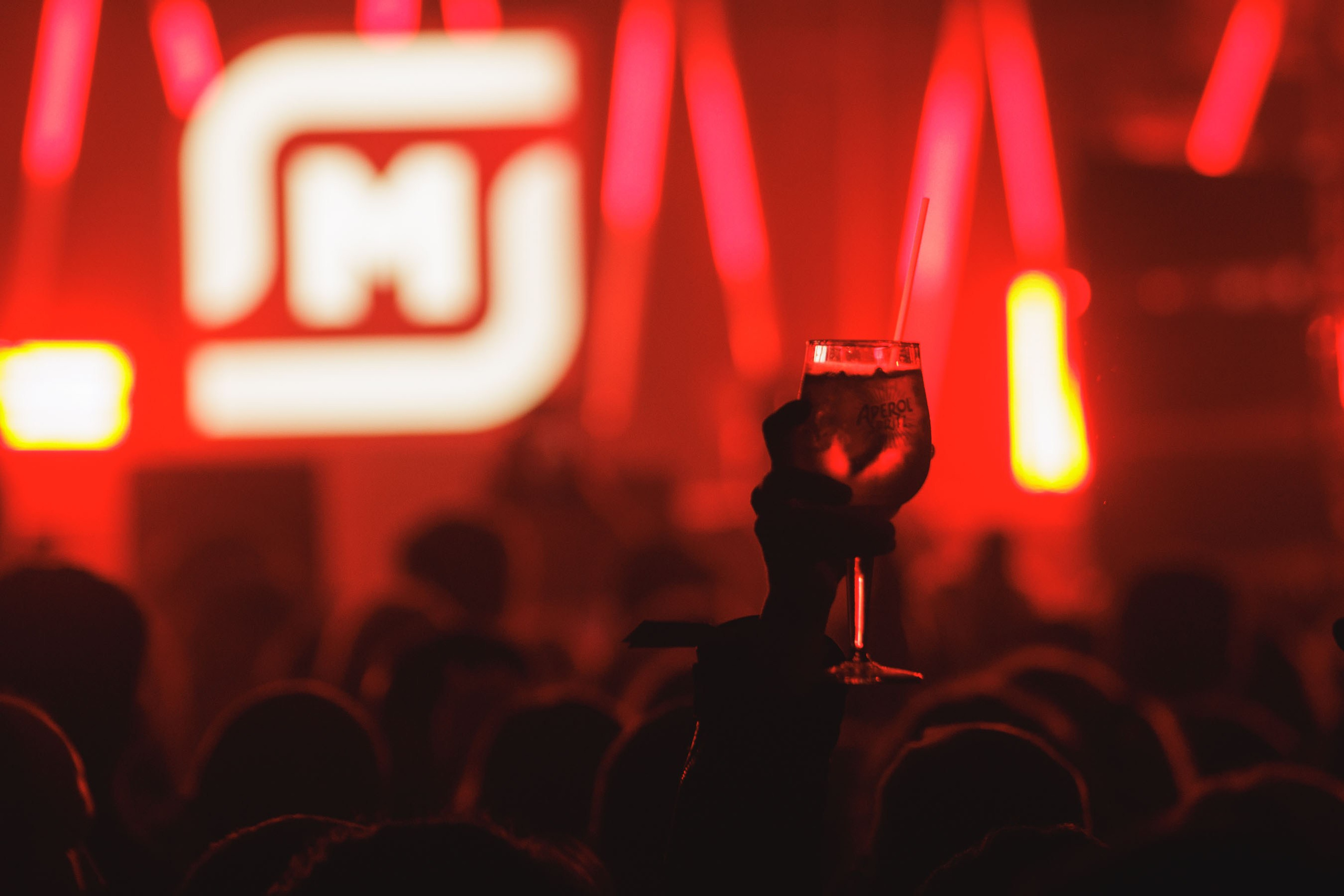 Parties photography. Bivol images