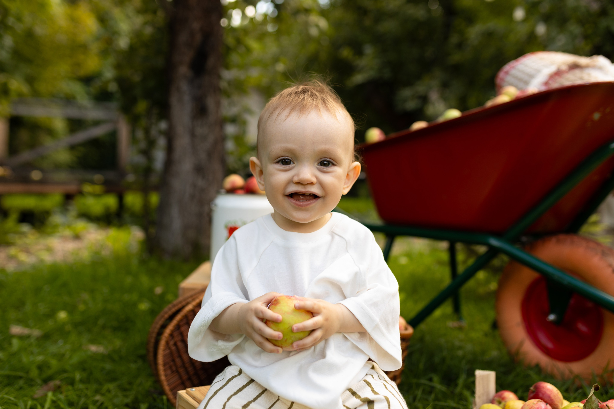 Годовасие на природе. Фотограф в Железнодорожном и Балашихе