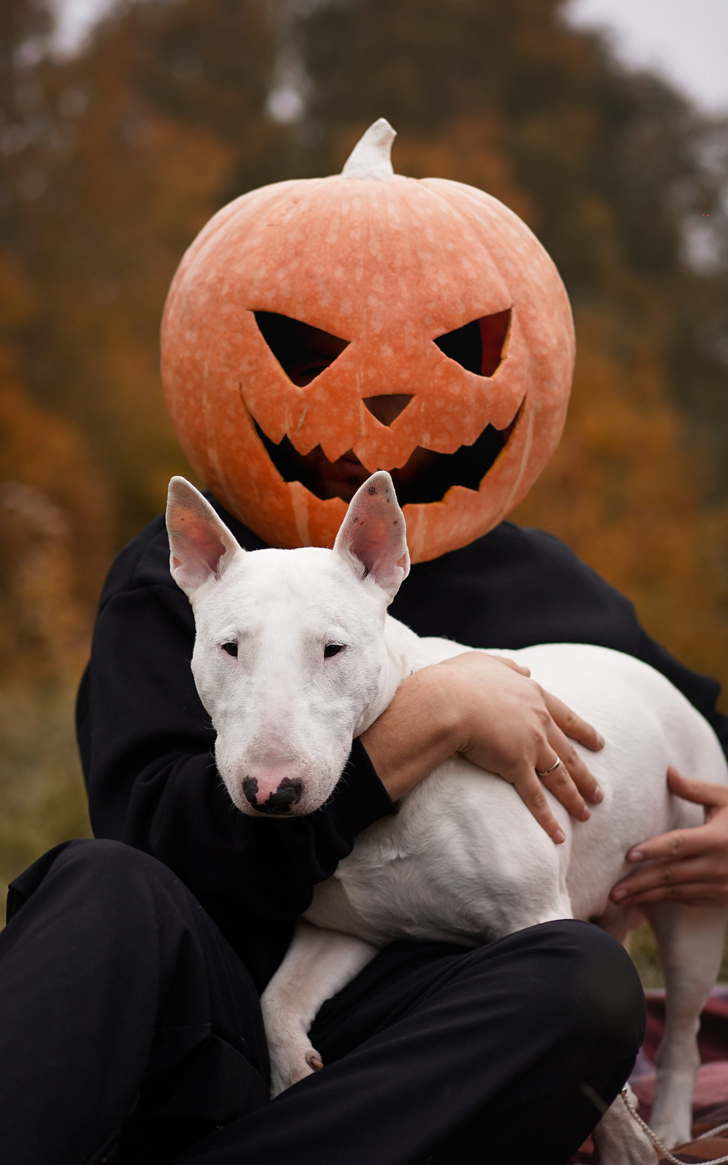 Настя Рома и Сахар Хелоуин. Фотограф-анималист в Санкт-Петербурге Яна Мартынова