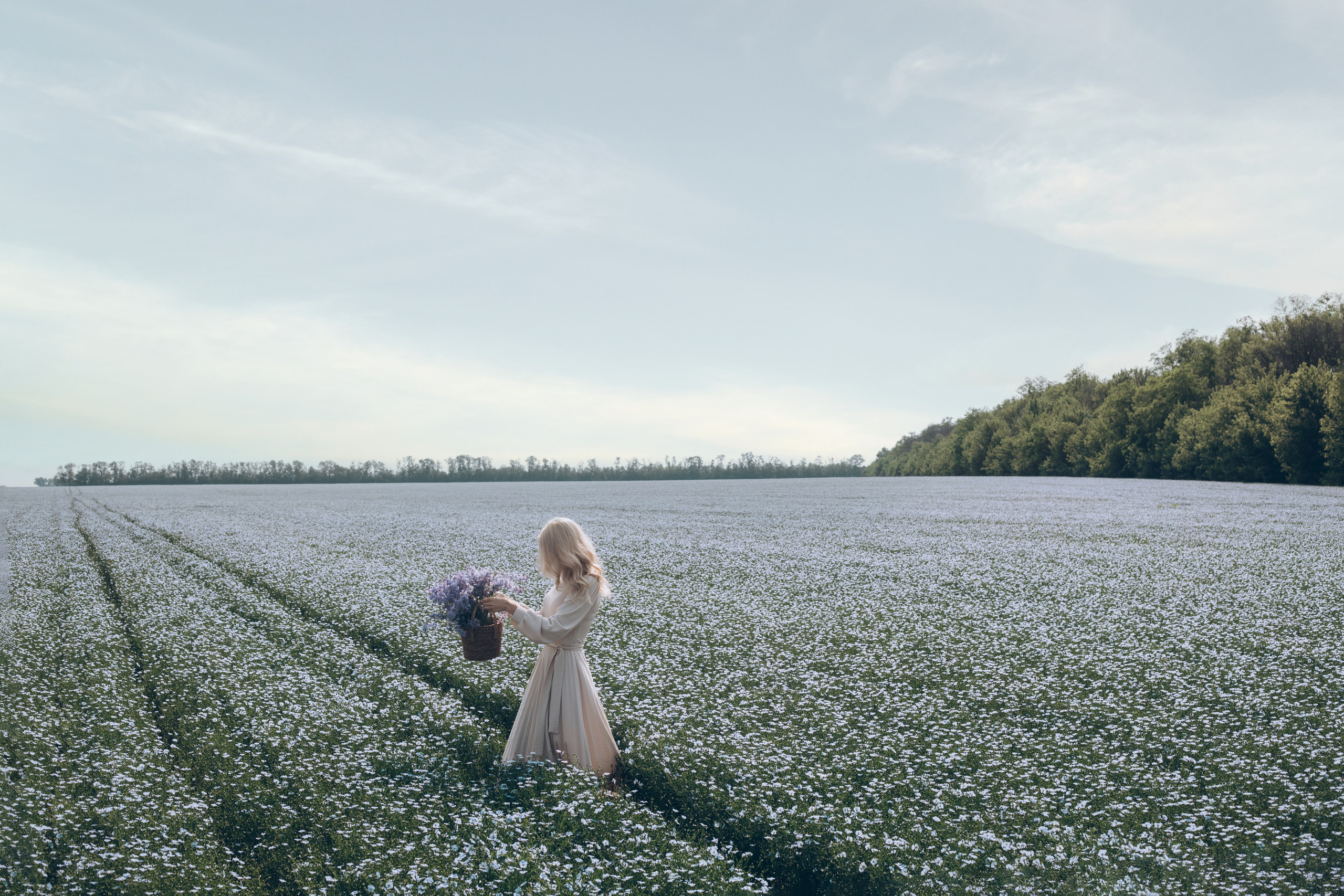 Фотосессия в поле льна. Свадебный и семейный фотограф в Краснодарском крае Мария Данилкина