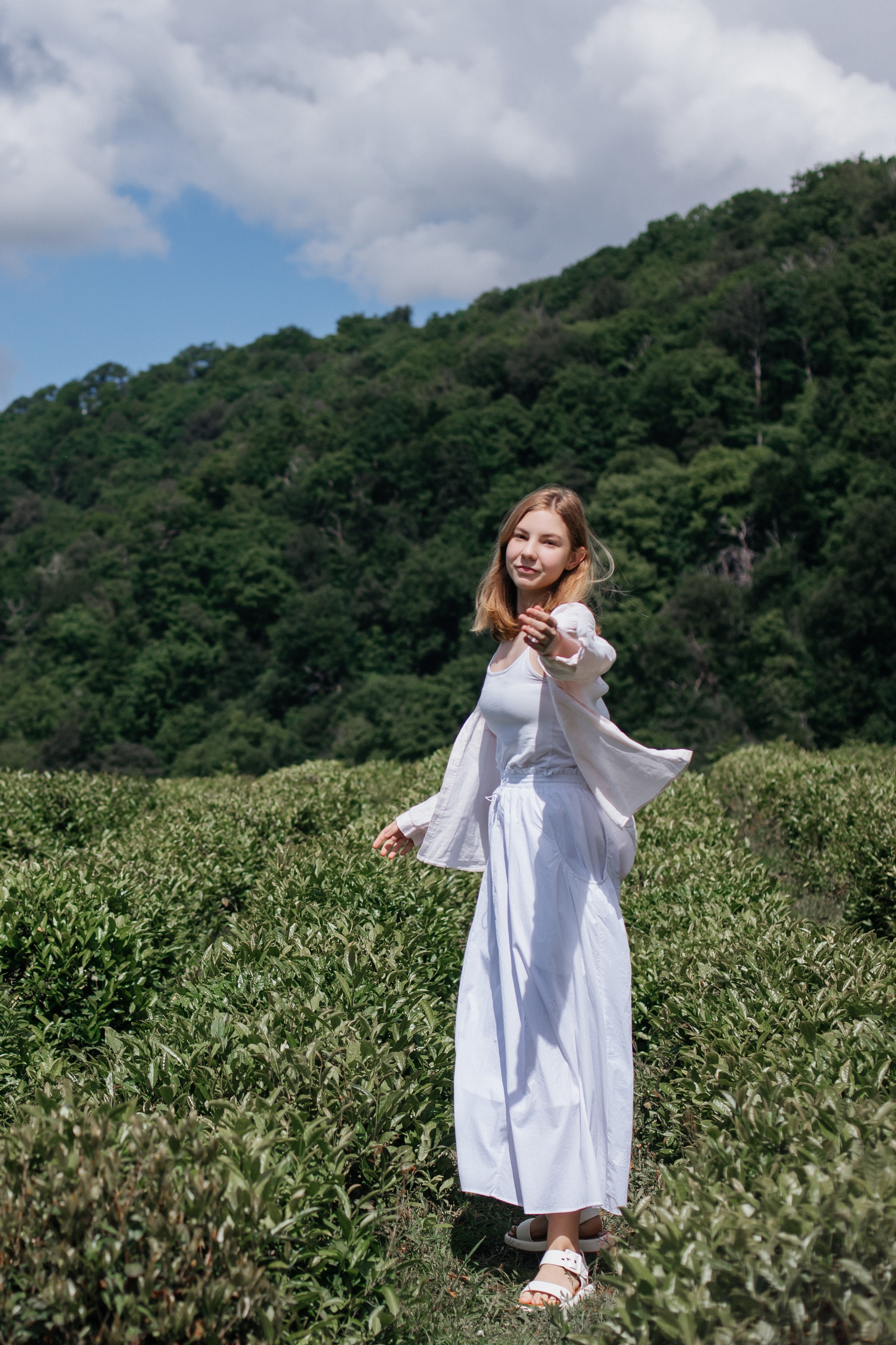 Tea plantation. Efimova Model Agency
