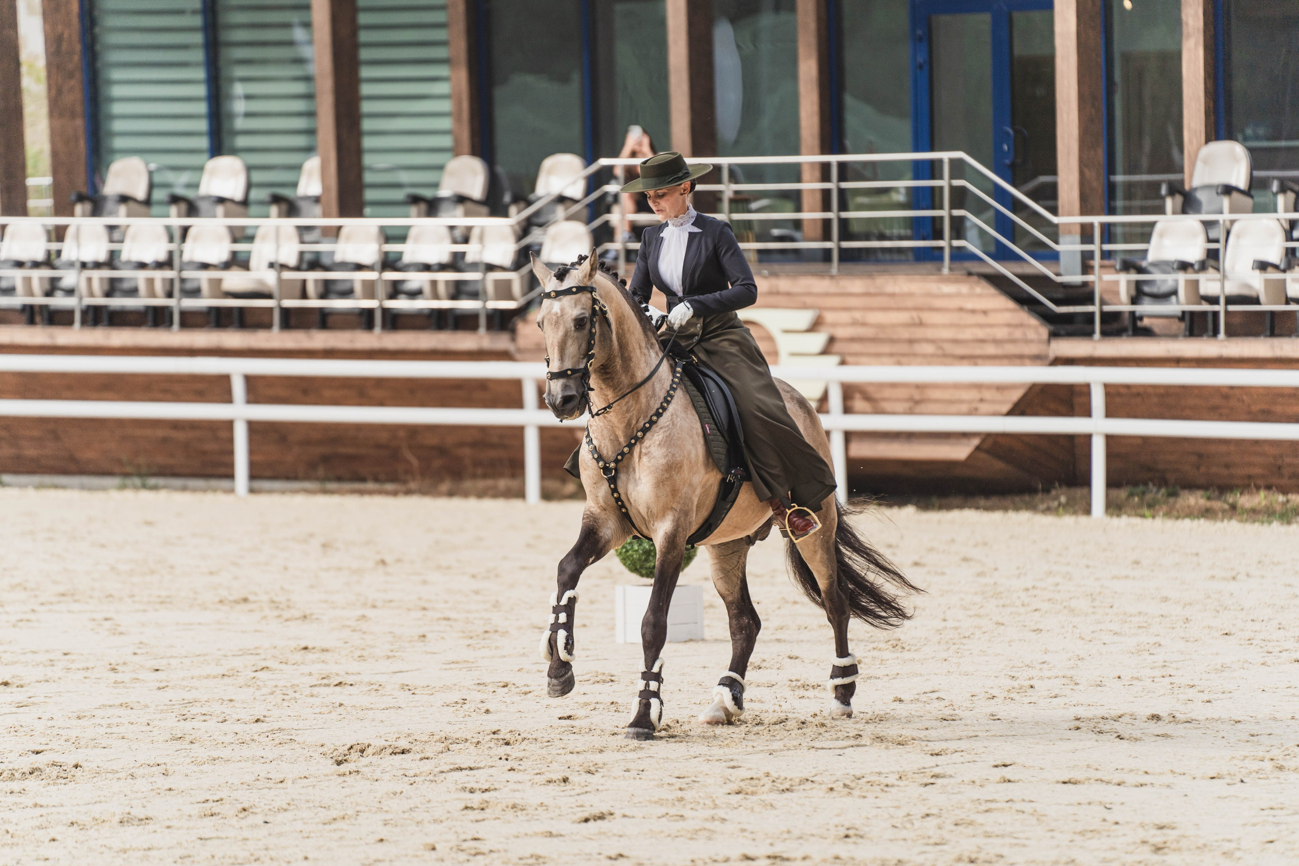 Мастер-класс по рабочей выездке. Фотограф в Москве Ленарская Дарья