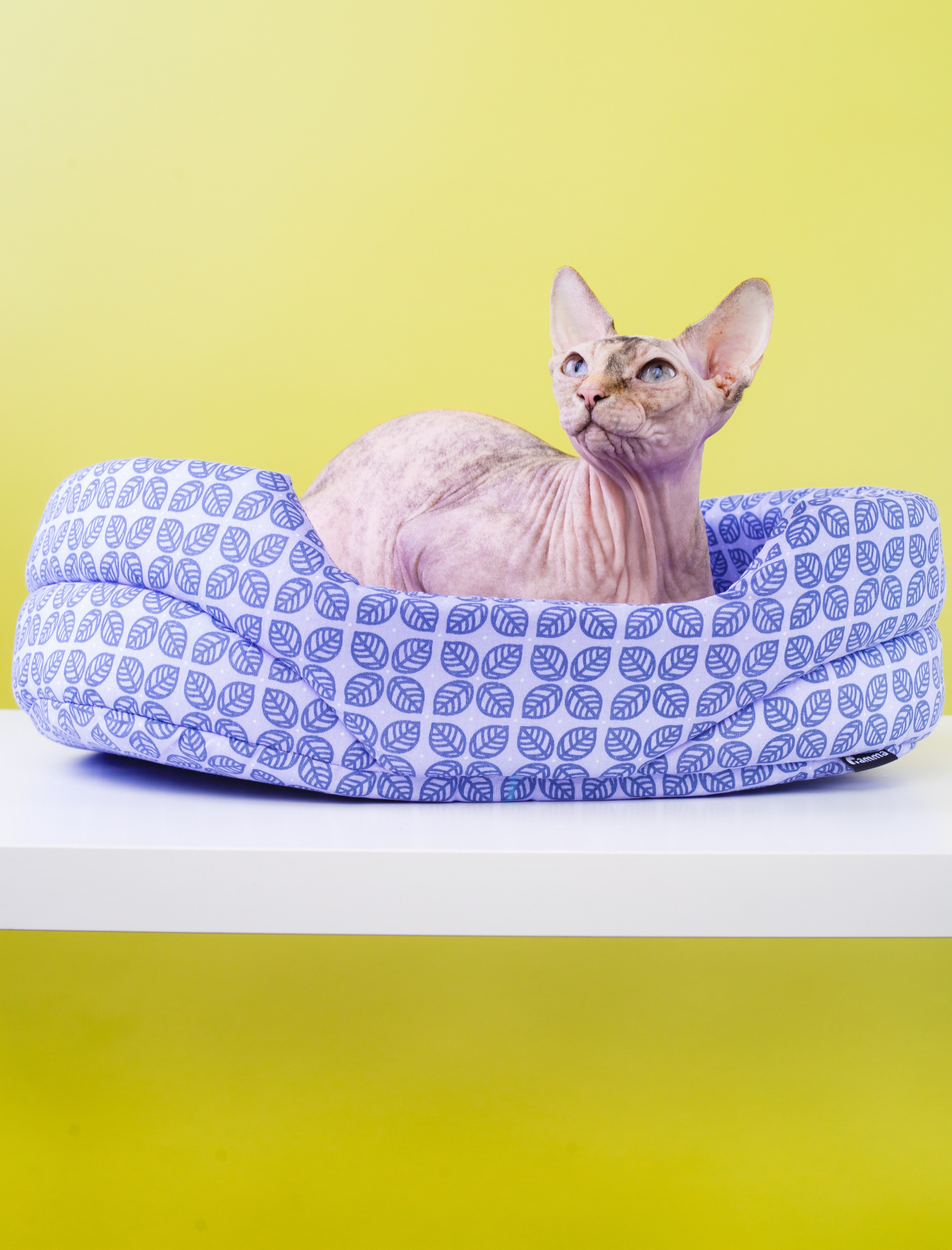 Предметка. Алина Нуриахмитова. Женский и fashion-фотограф в Казани и Москве