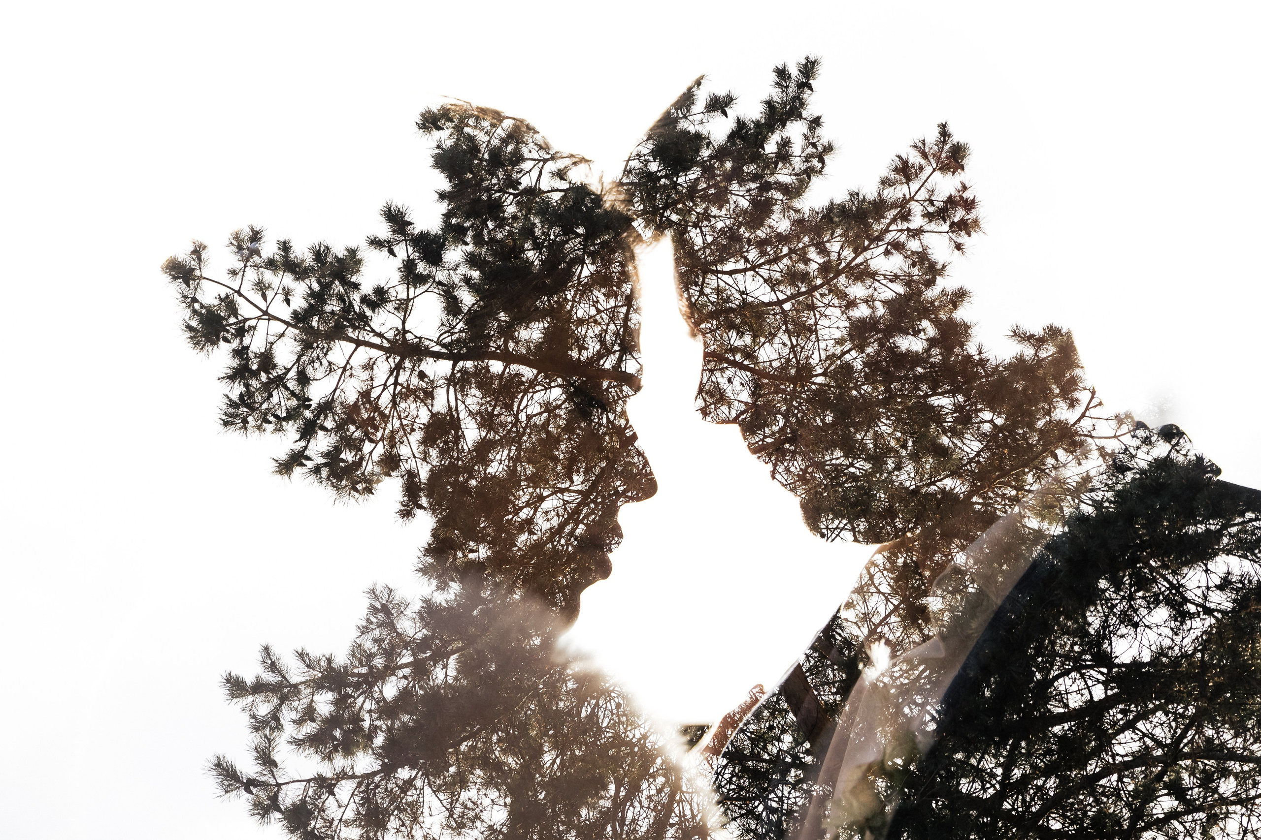 Alena & Oleg. Главная