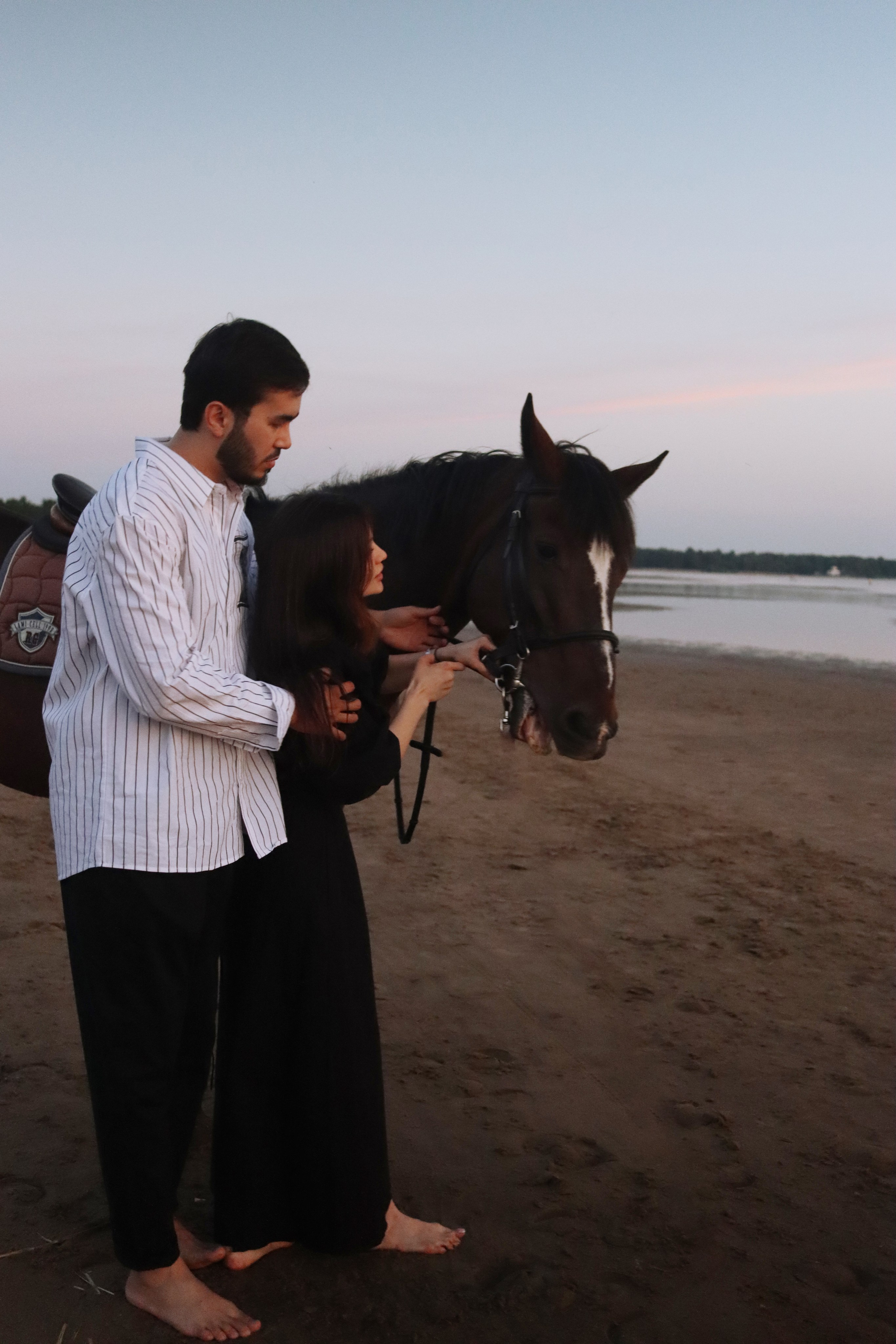 Love story с лошадьми